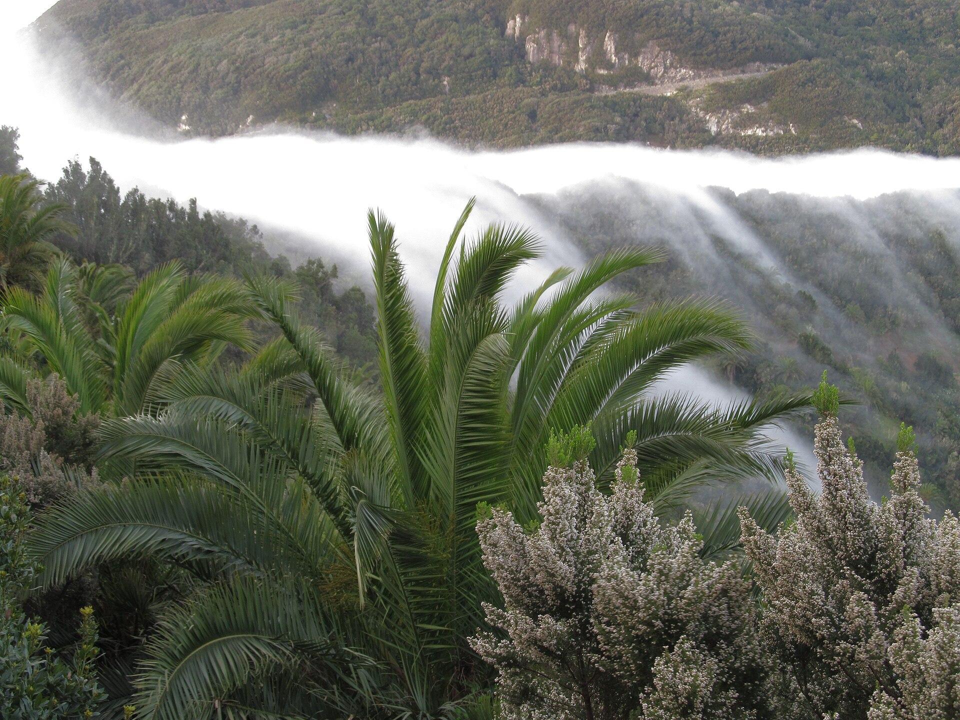 Vallehermoso, Spain