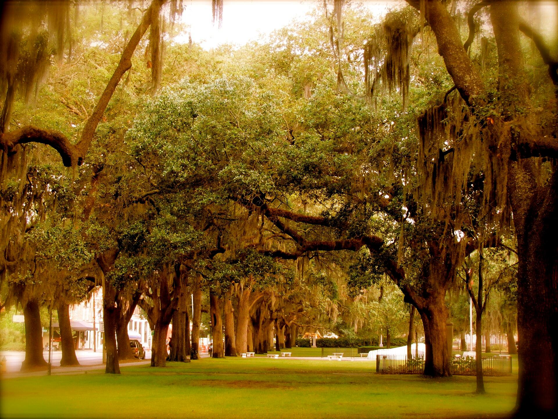 Savannah, United States