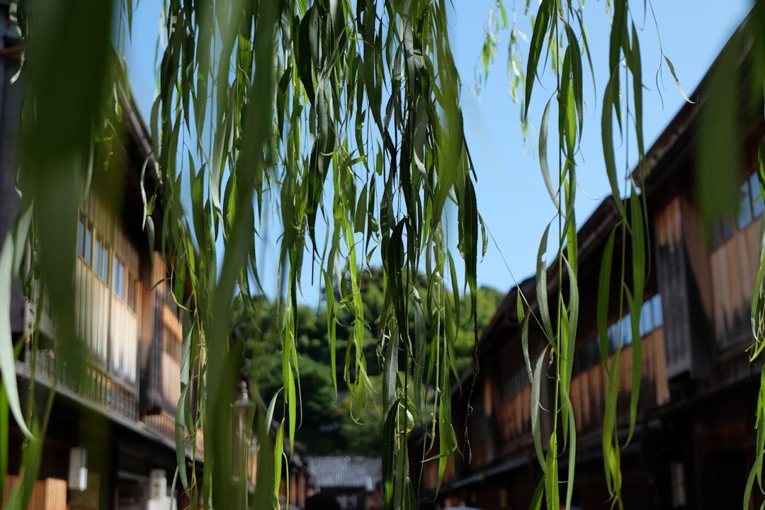 Kanazawa, Japon