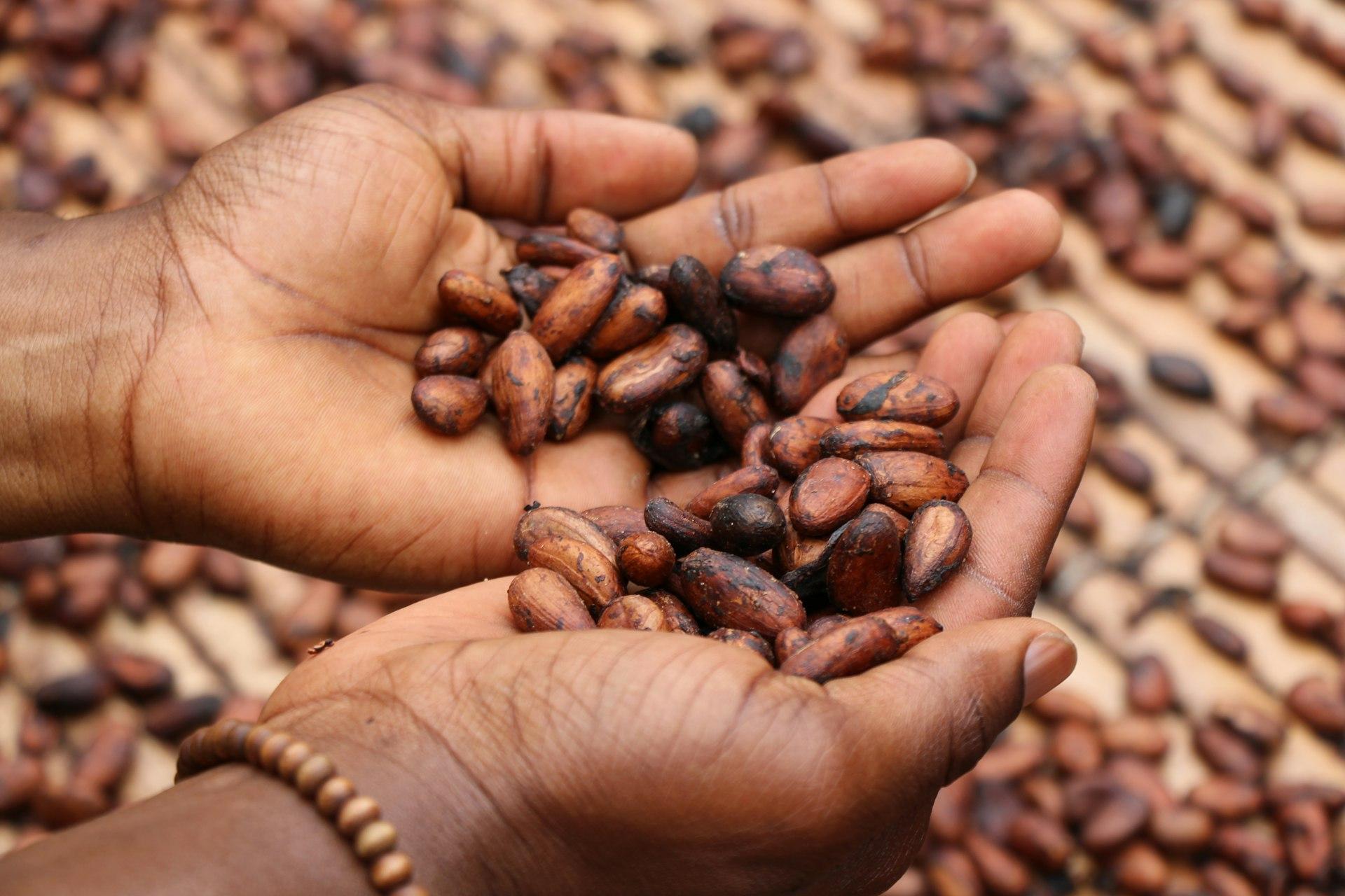 Côte d'Ivoire