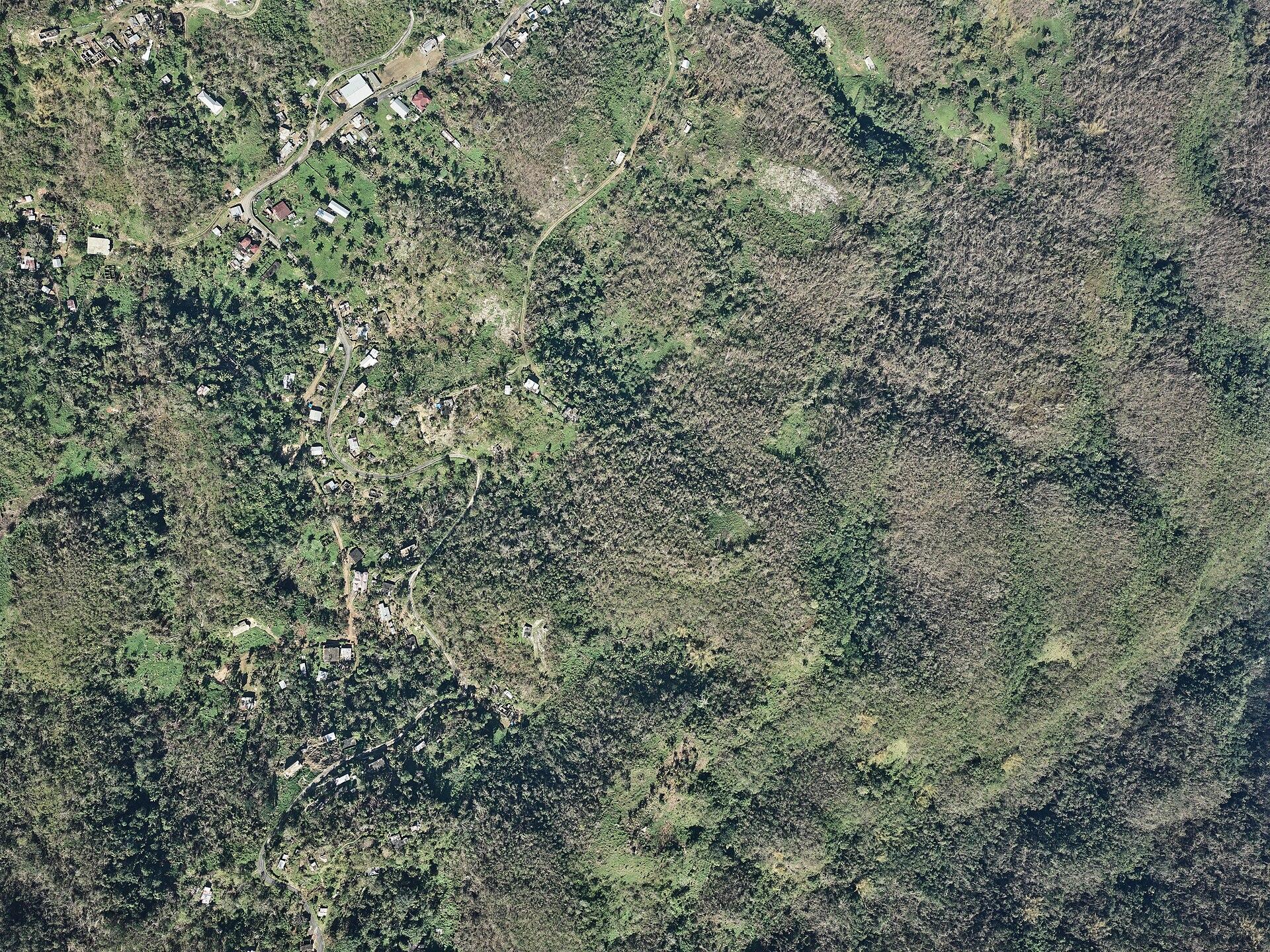 Sligoville, Jamaica