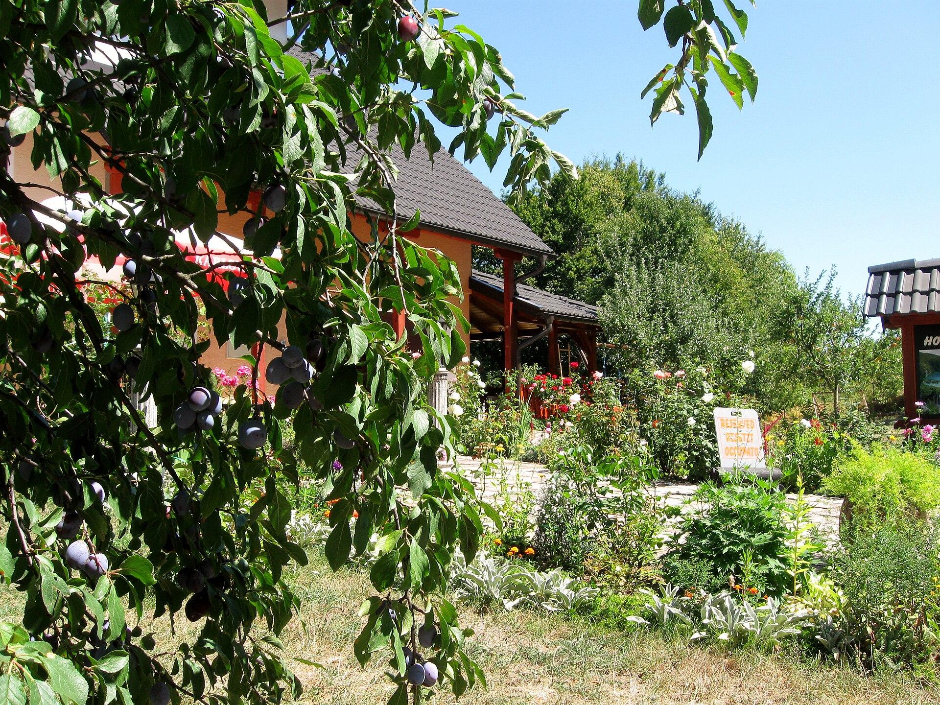 Rastovača, Croatia
