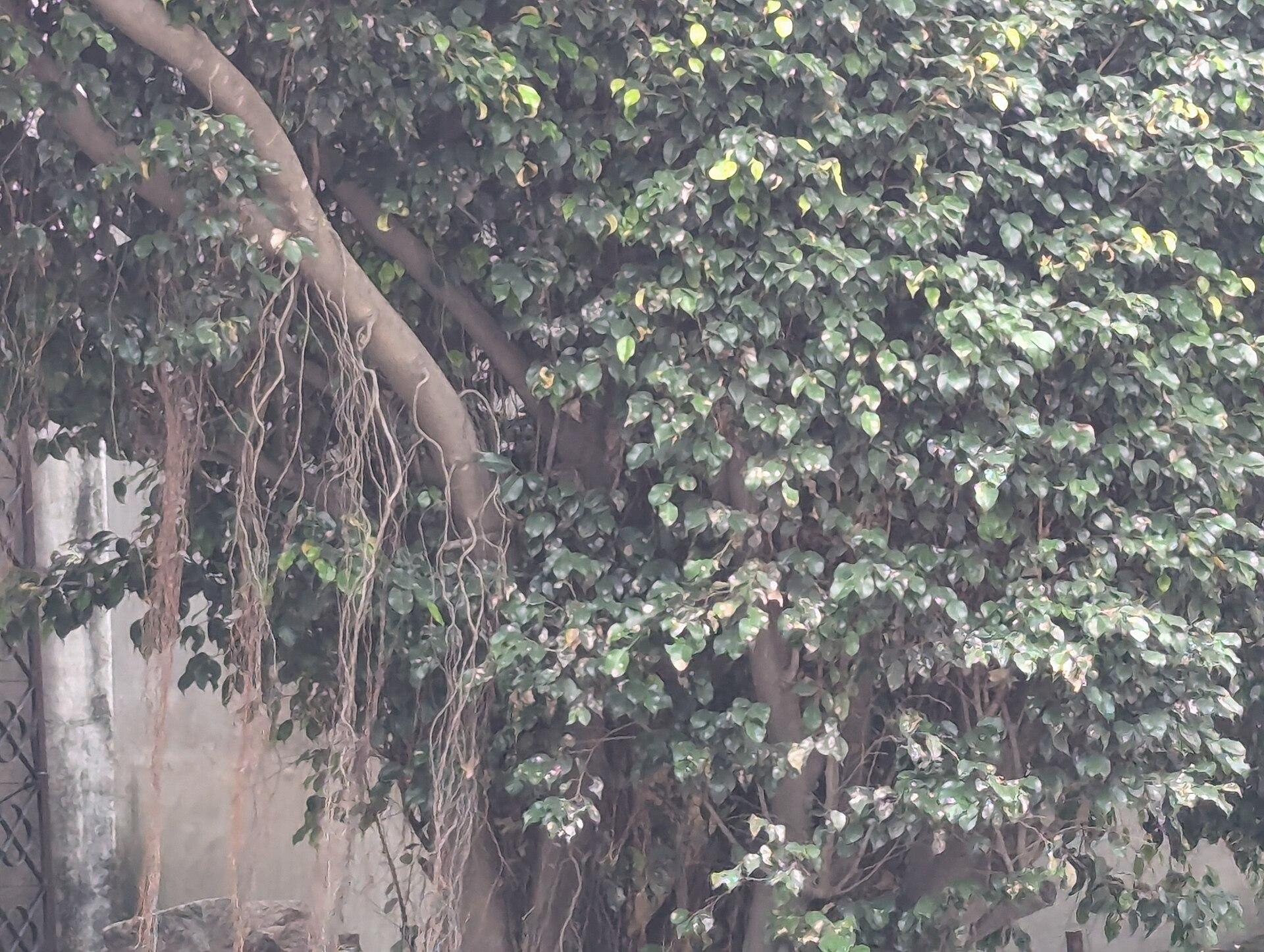 Hyderabad, India