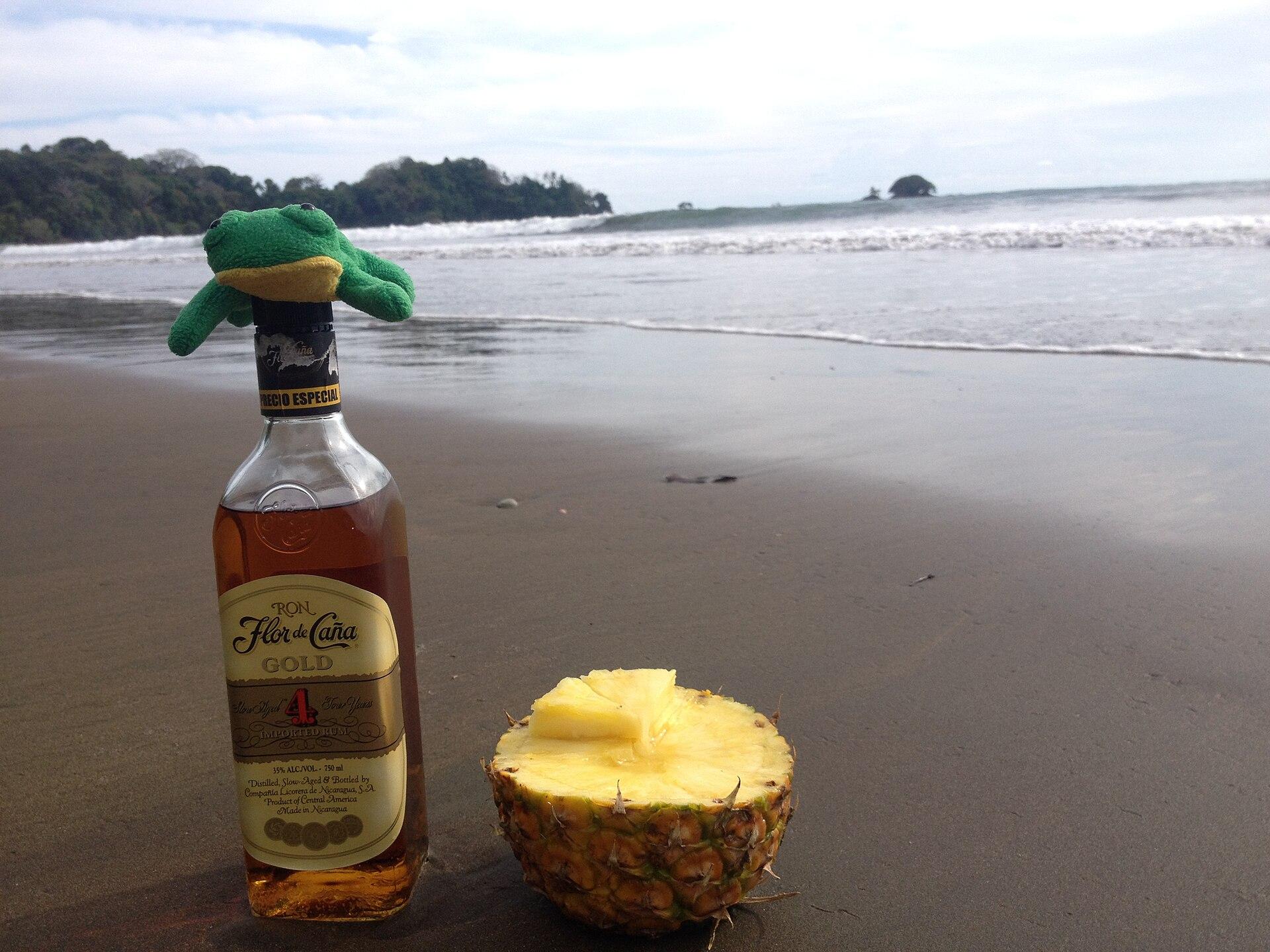 Dominical