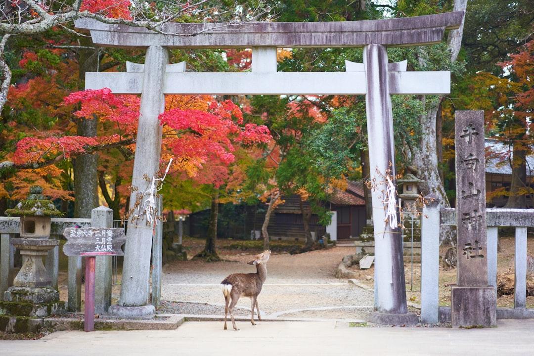 Nara, Kansai