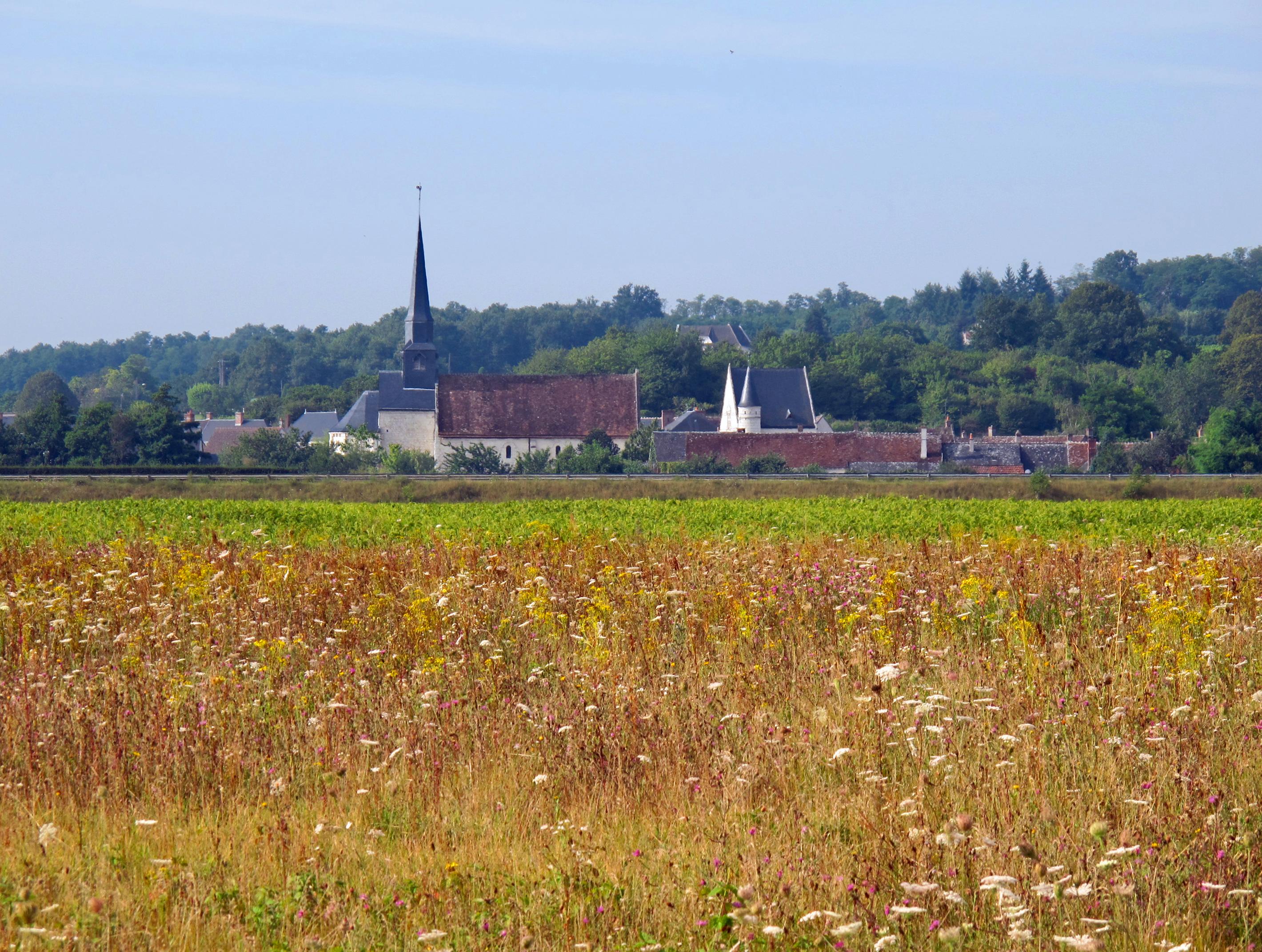 Angé, France