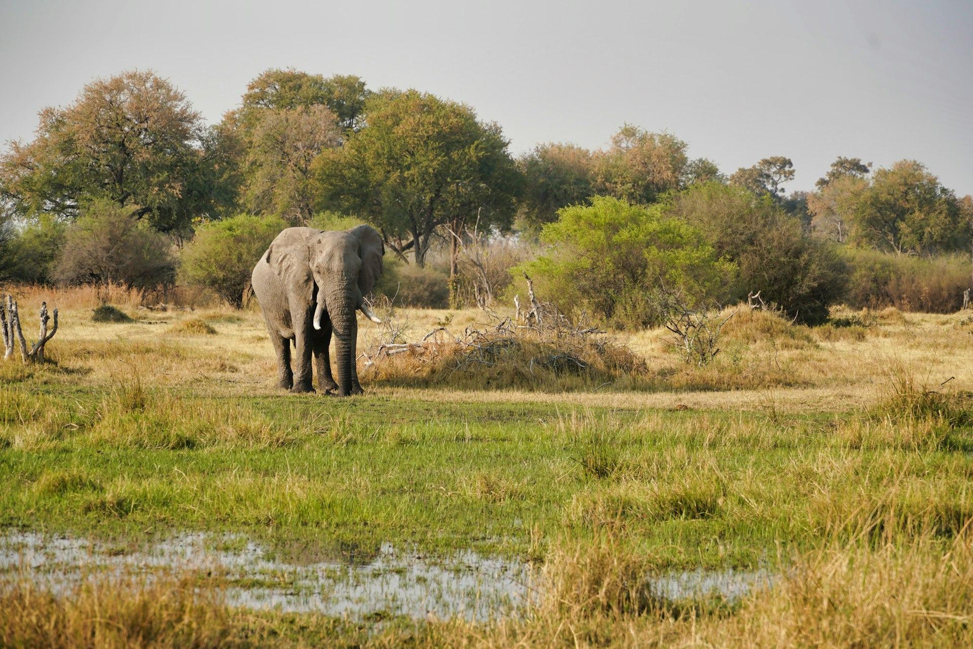 Botswana
