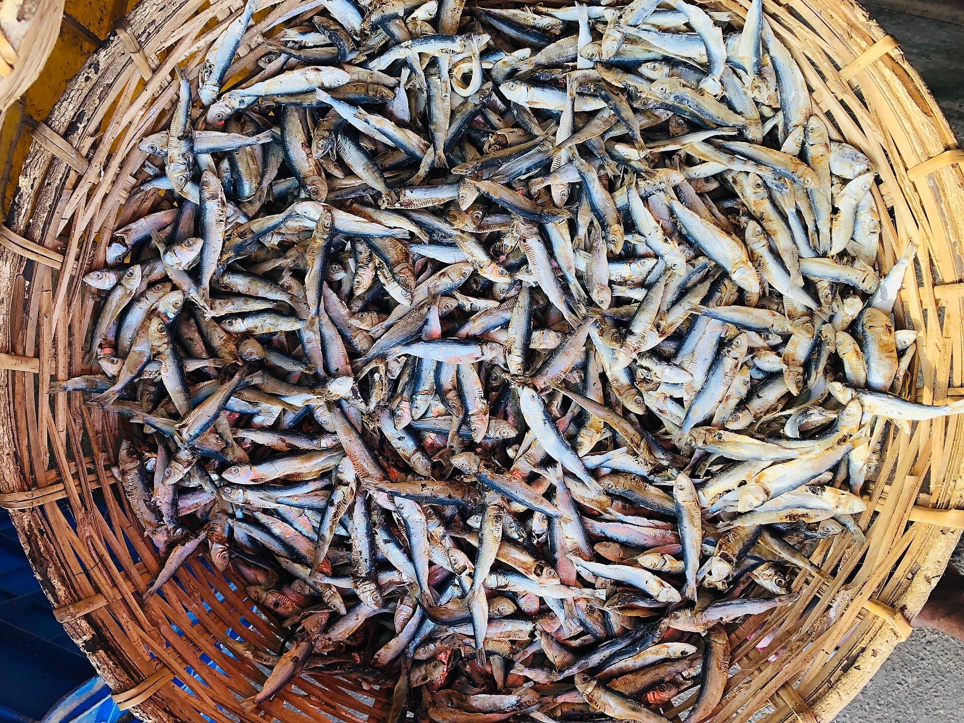 Trincomalee, Sri Lanka