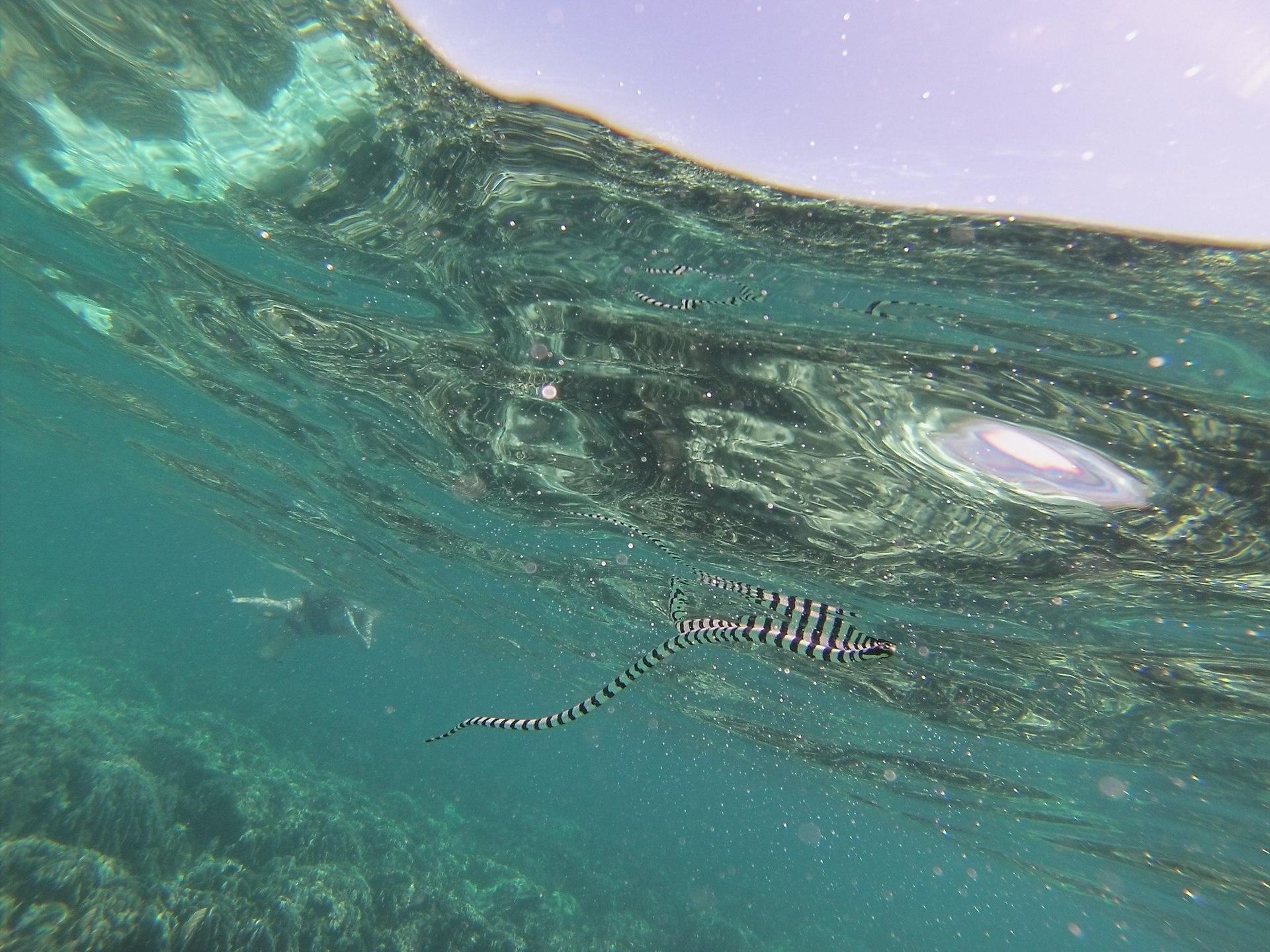 Ko Lanta, Thailand