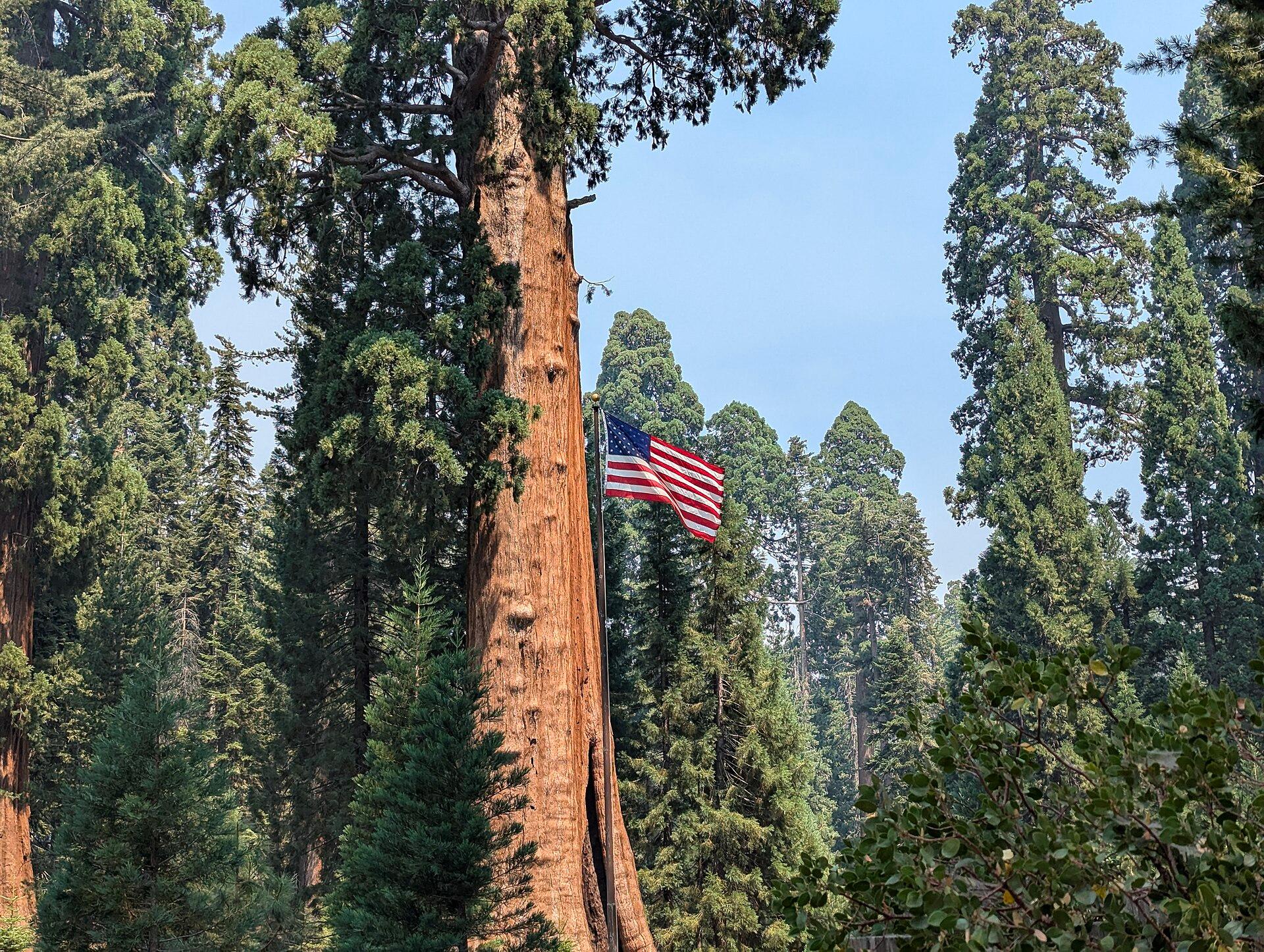 Sequoia, United States