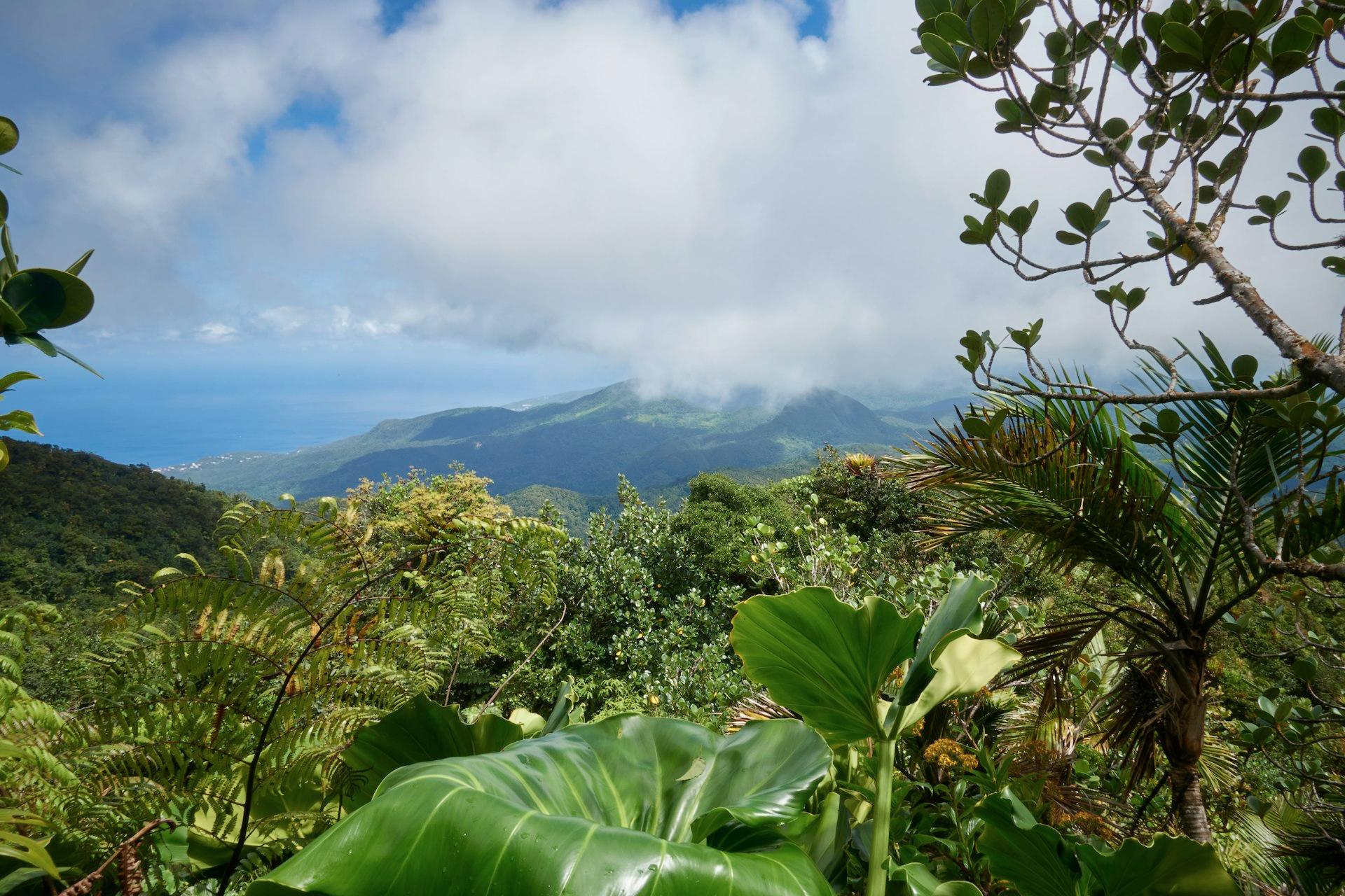 Guadeloupe