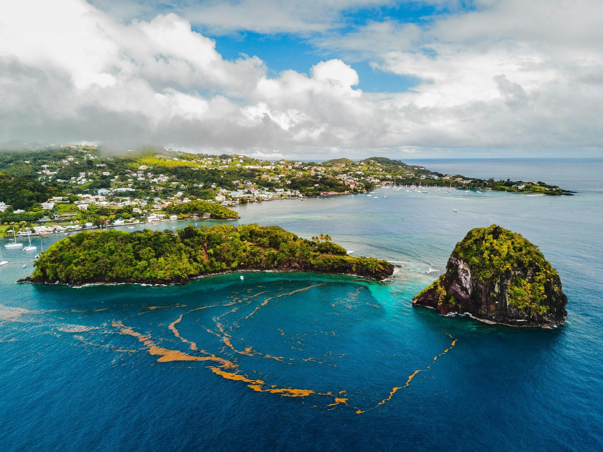 Saint Vincent & Grenadines
