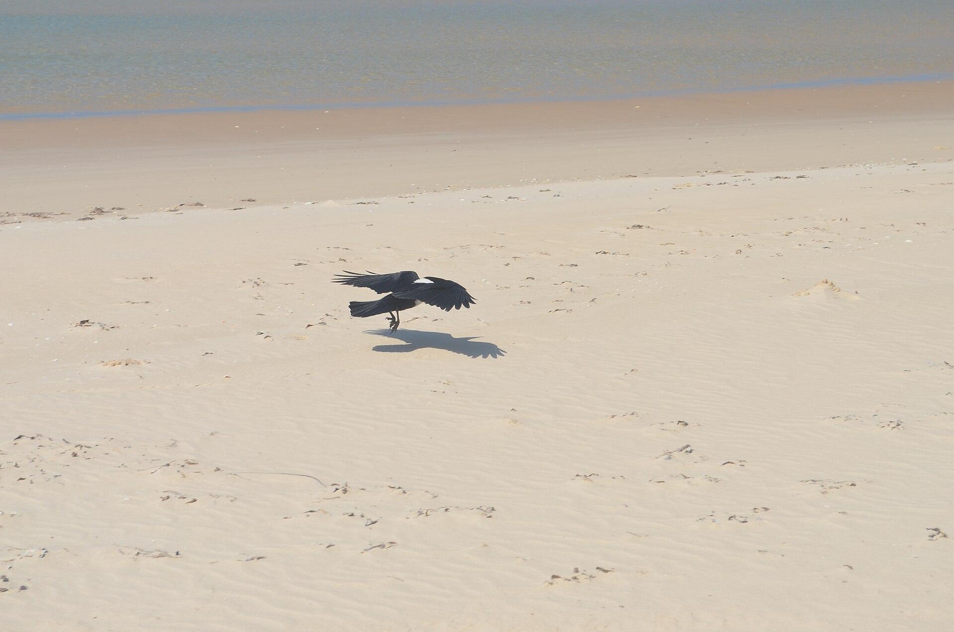 Vilanculos, Mozambique