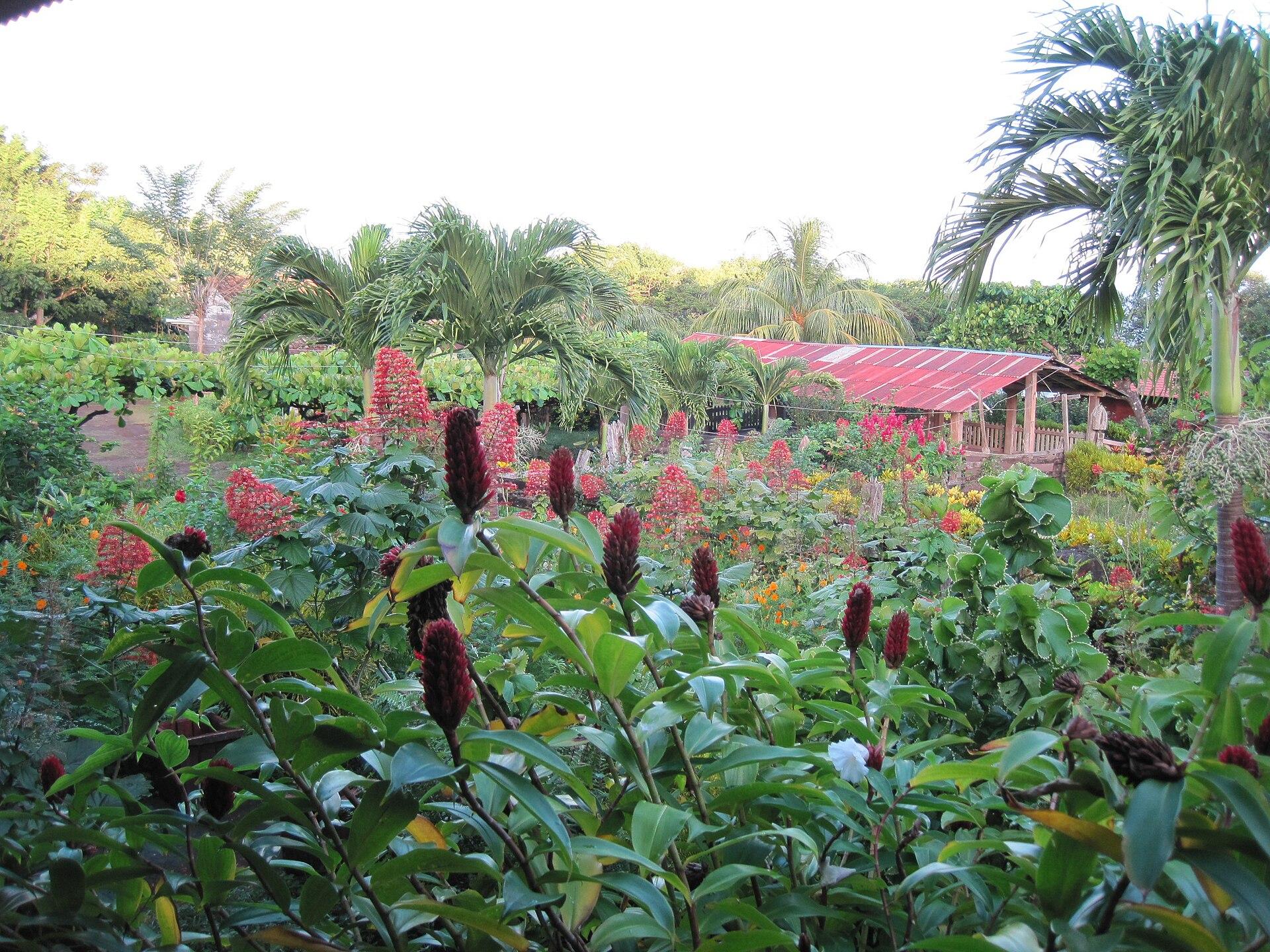 Ometepe, Nicaragua