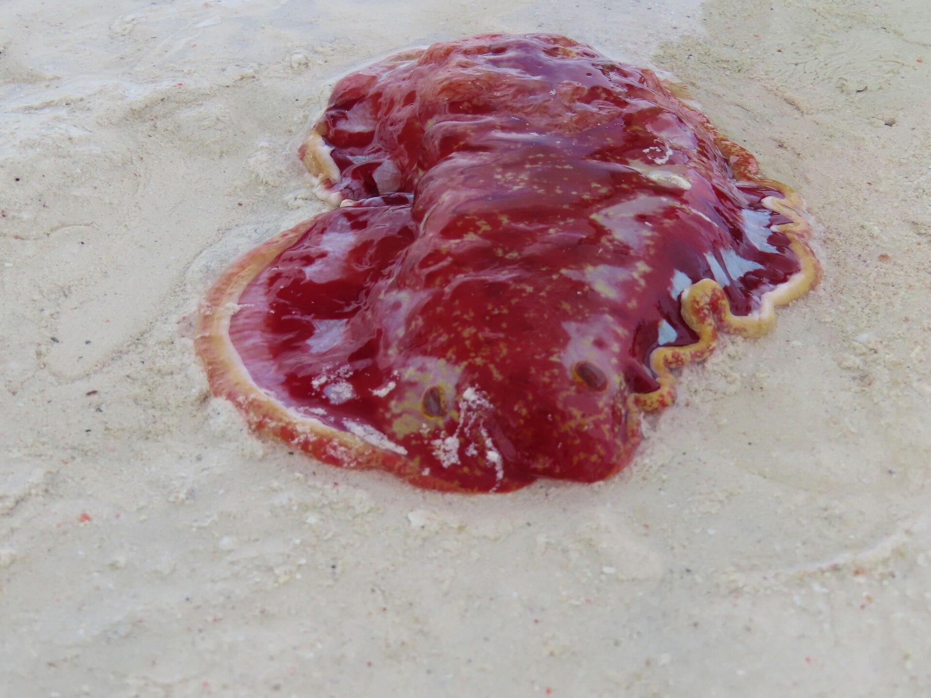 Watamu, Kenya