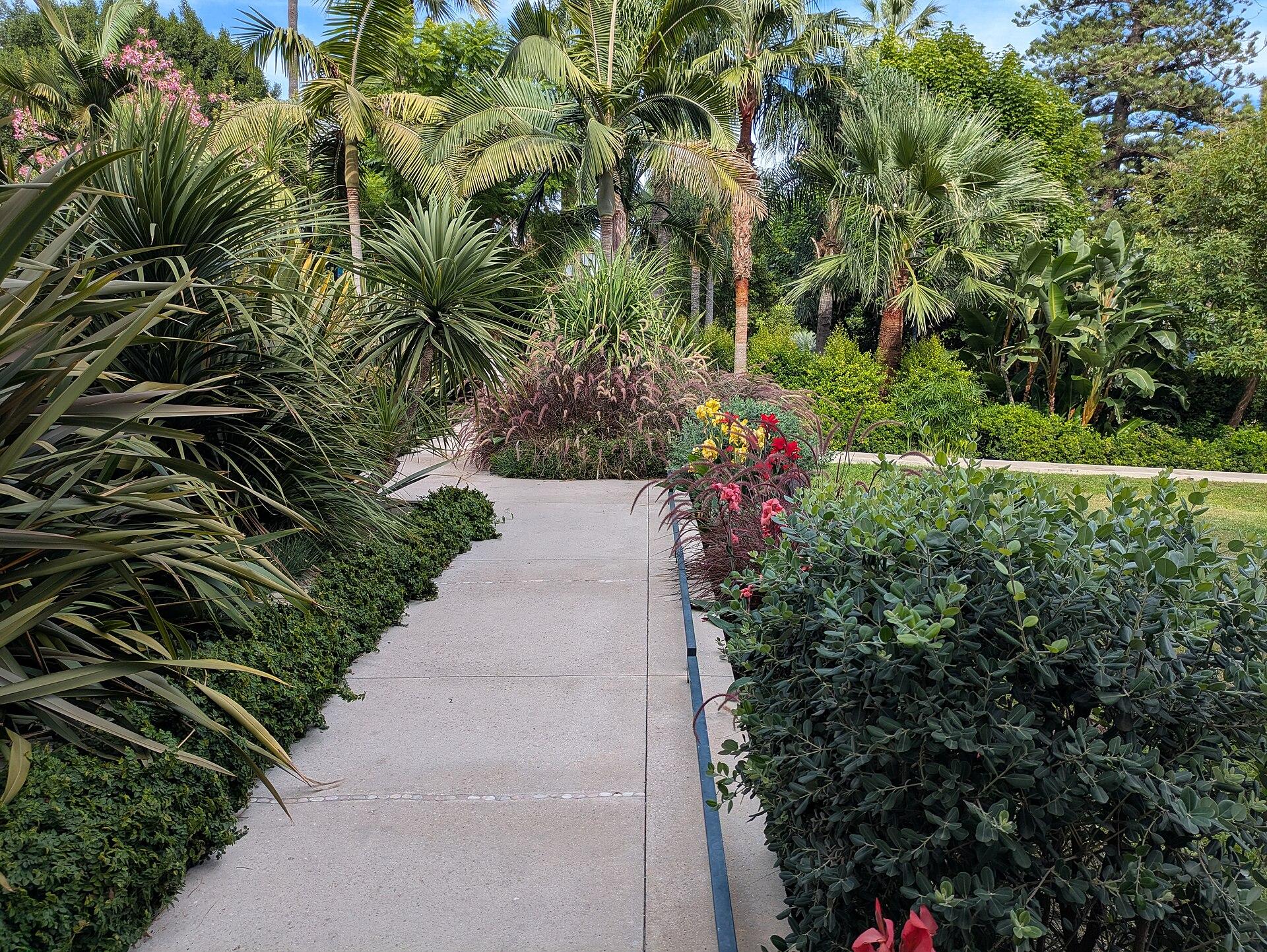 Monte Carlo
