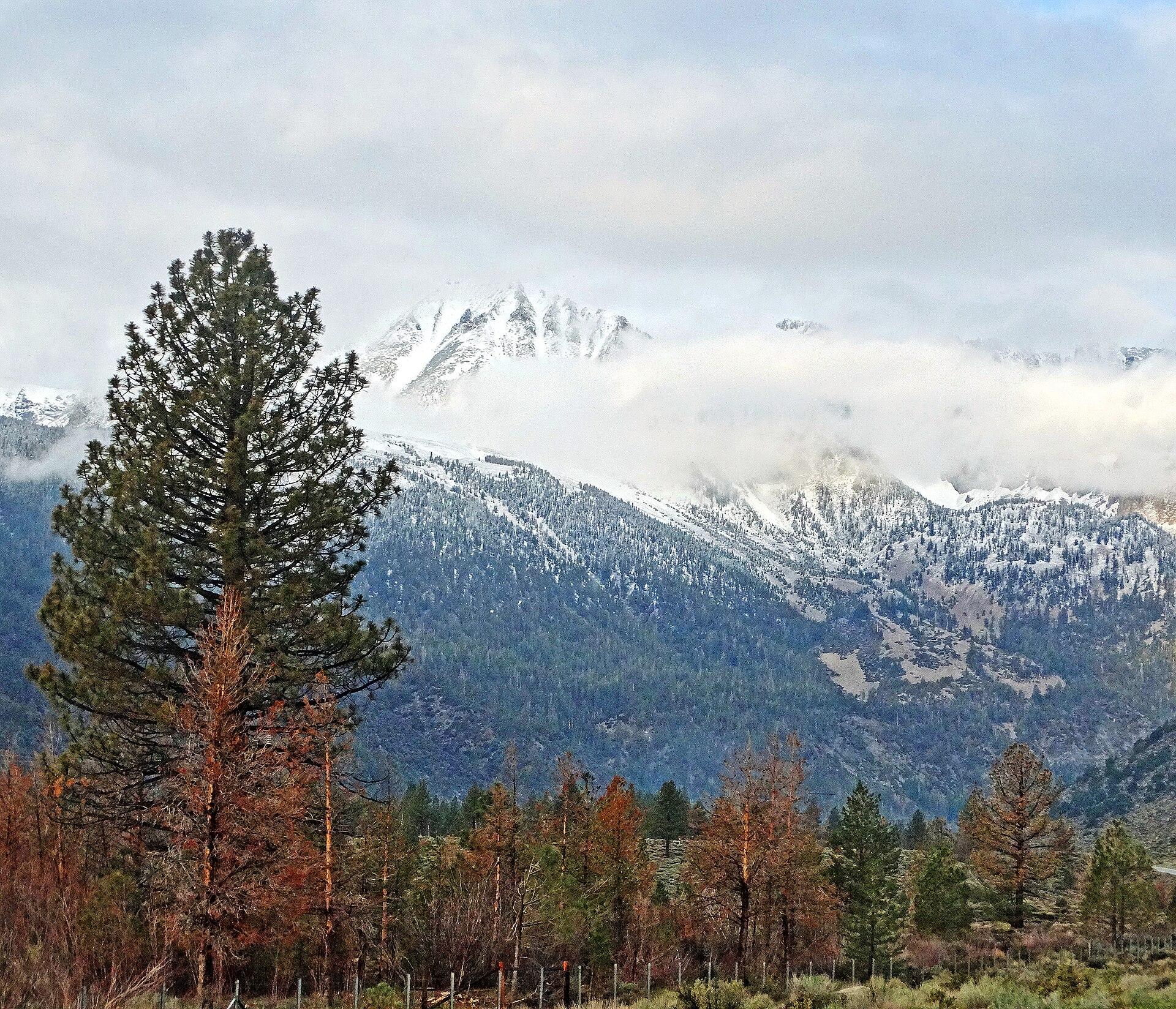 Mammoth Lakes, United States