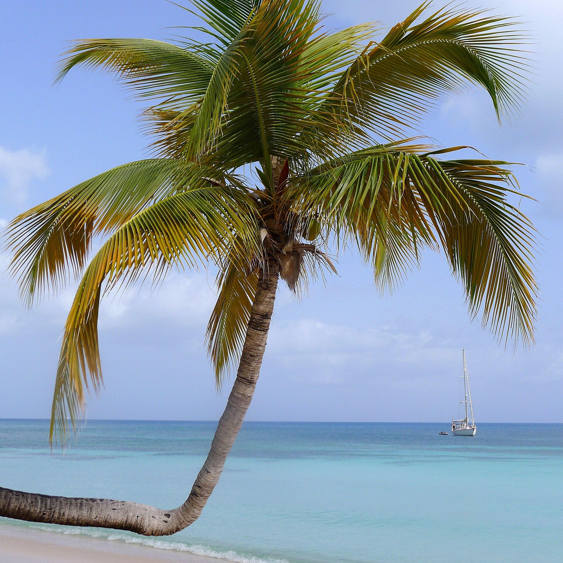 Sandals Grande Antigua - All Inclusive Resort and Spa - Couples Only, Antigua & Barbuda