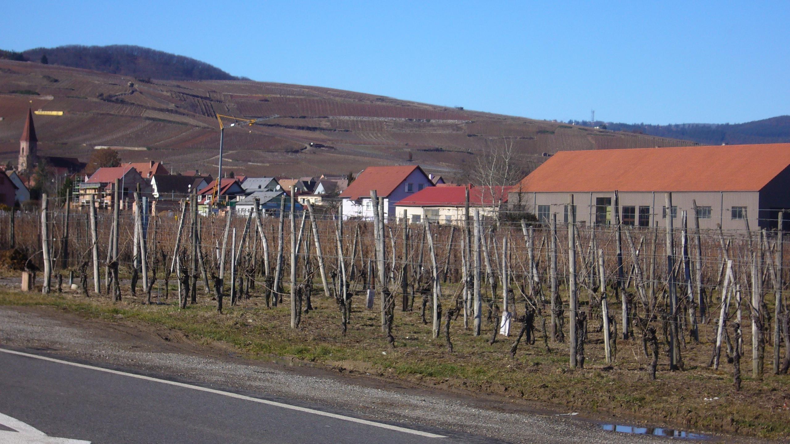 Wettolsheim, France
