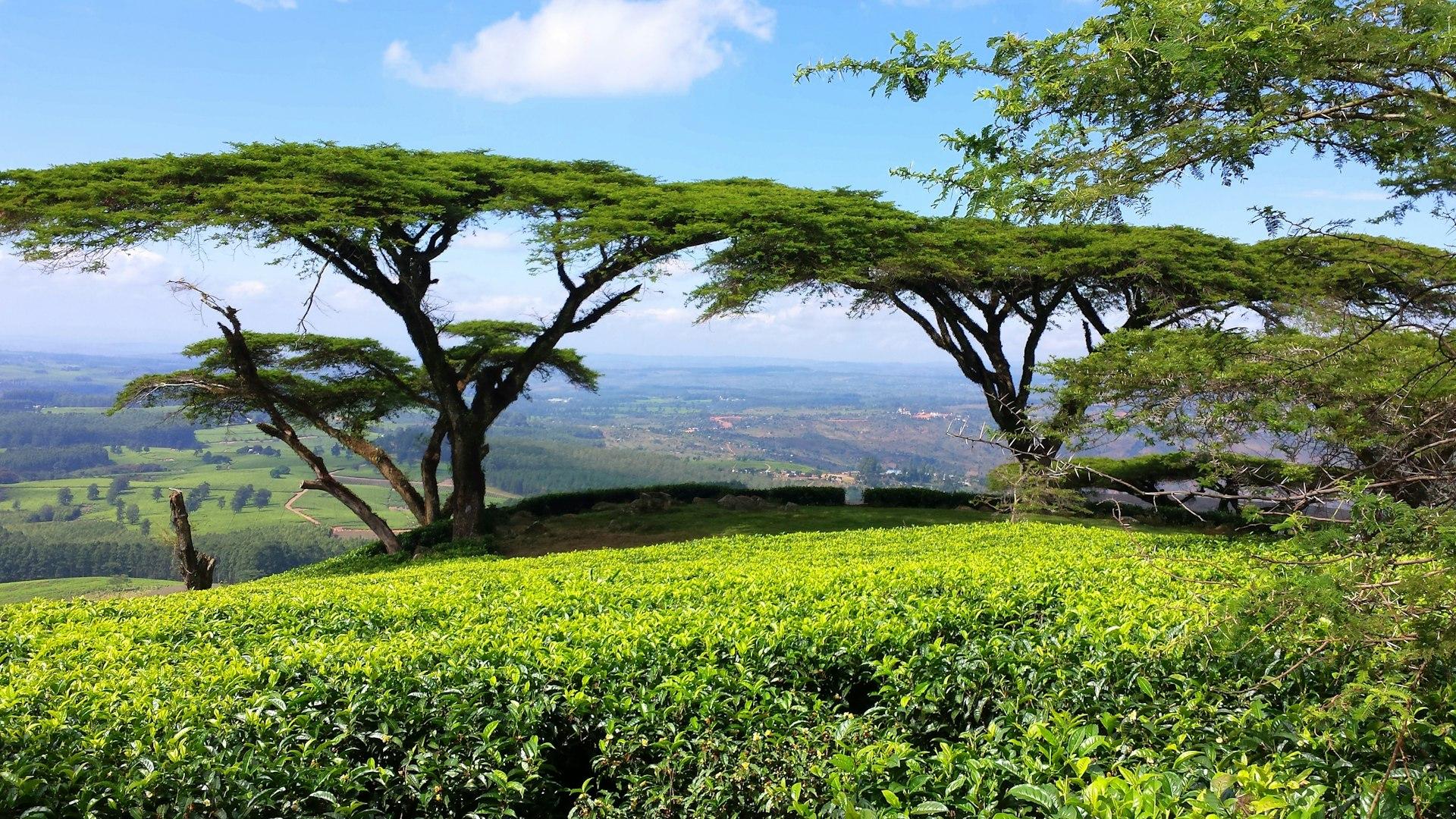 Malawi