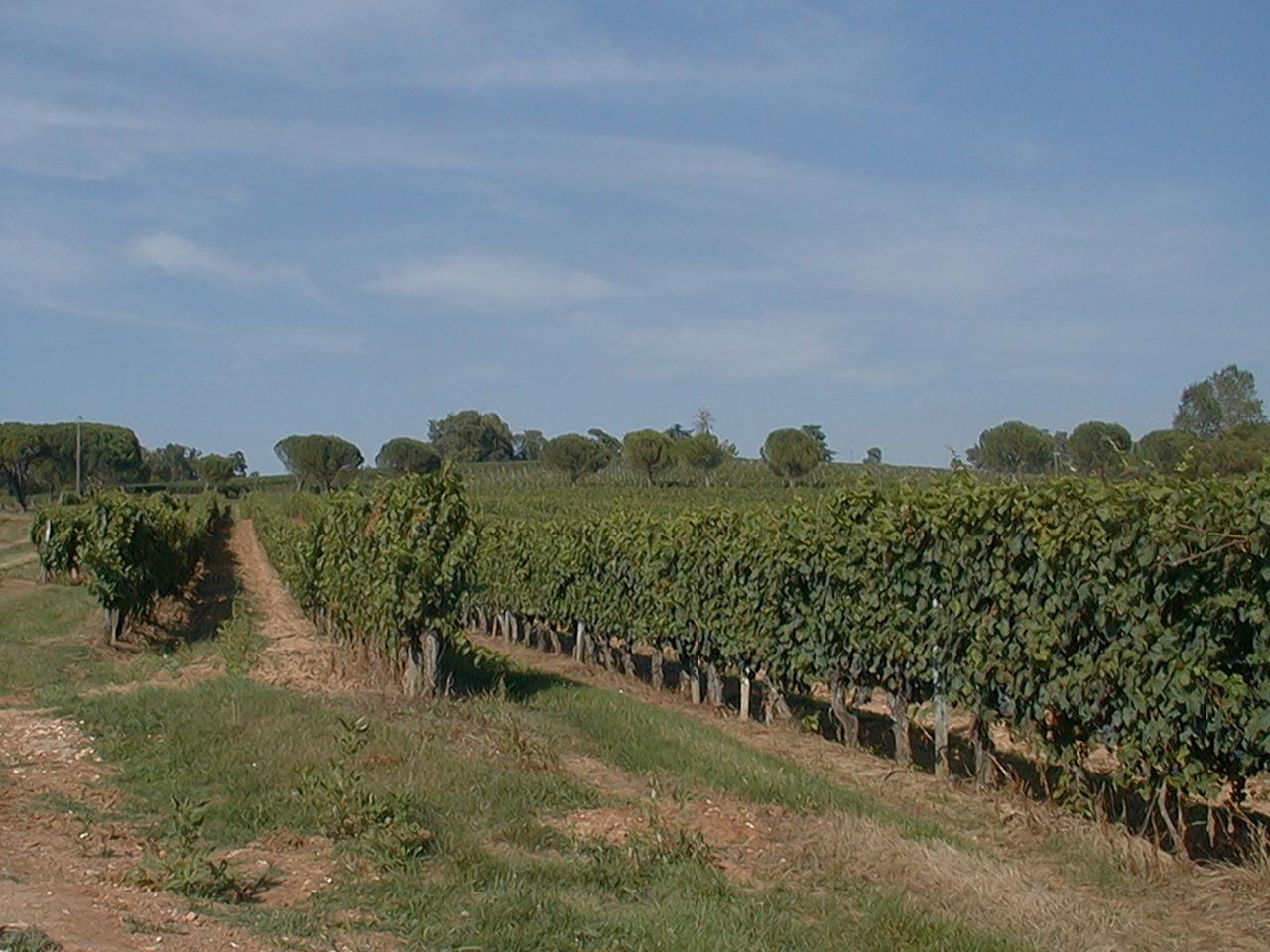 Lembras, France