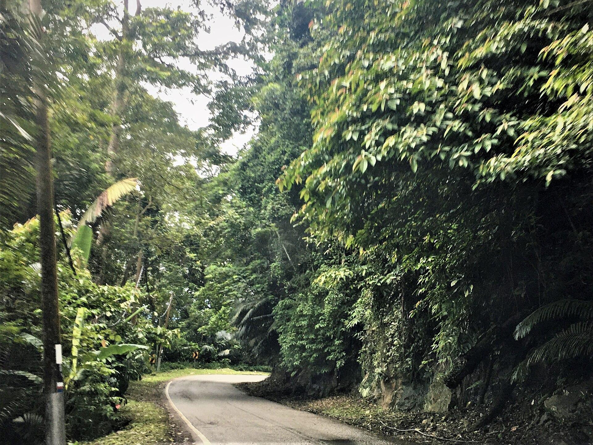 Bukit Tinggi, Malaysia