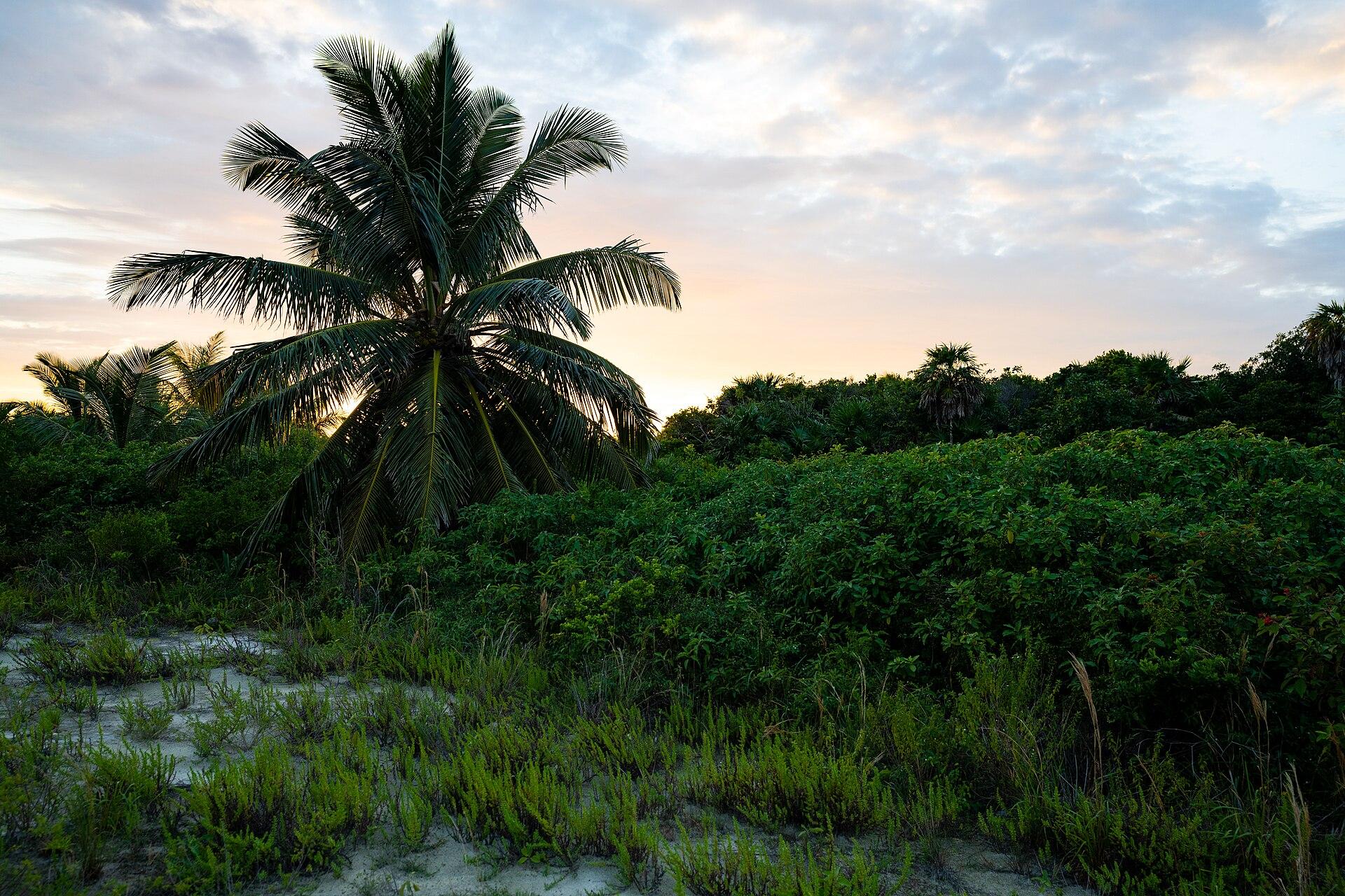 Reef Haven Belize, Belize
