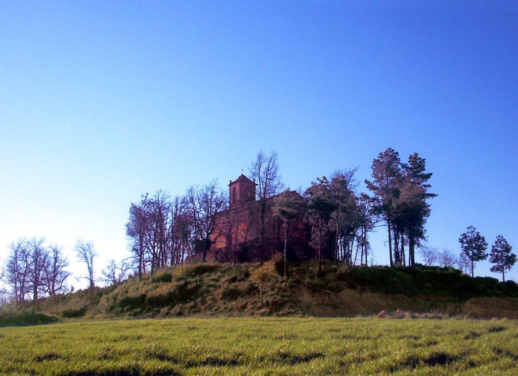Riner, Spain