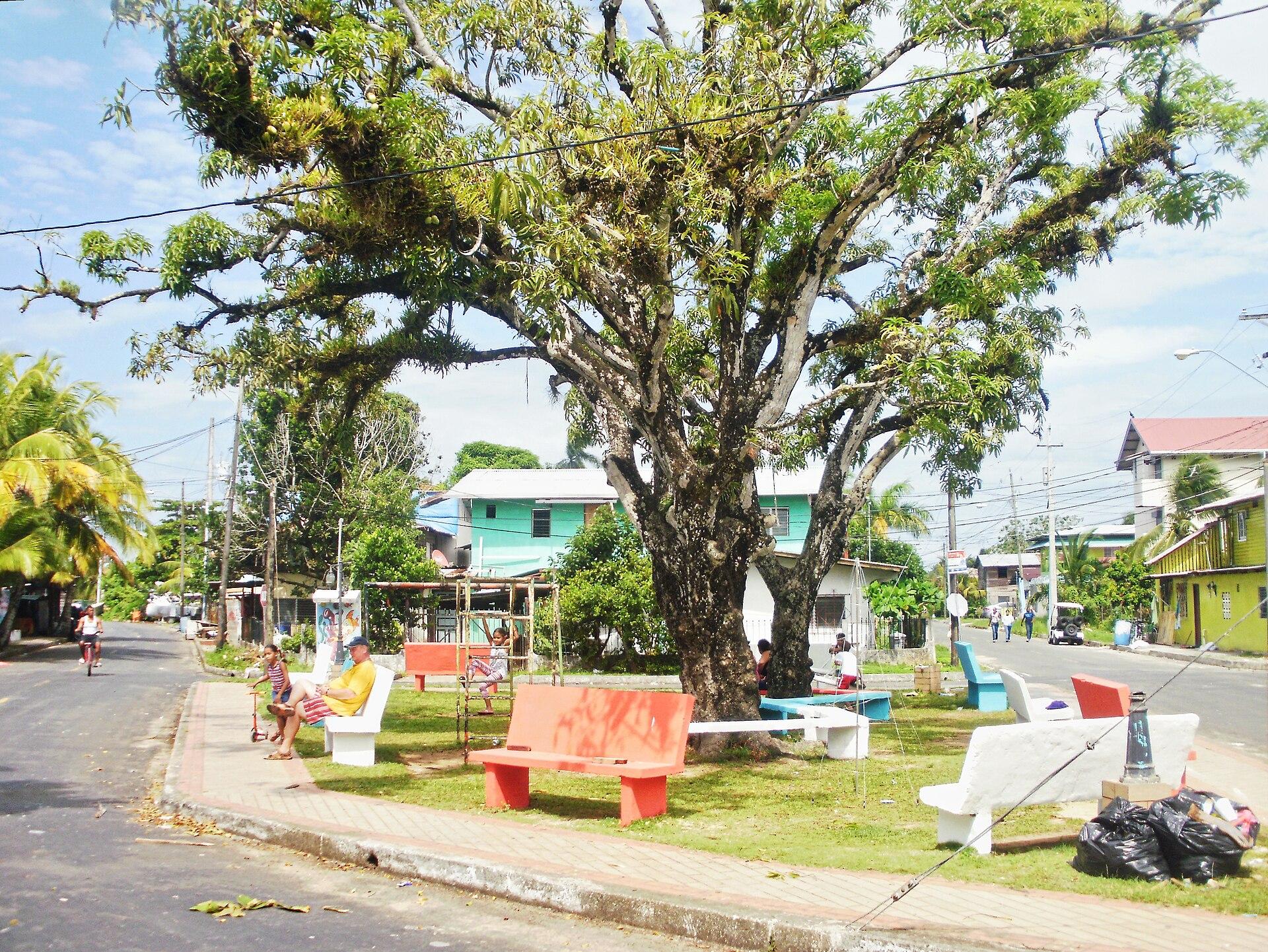 Bocas Town
