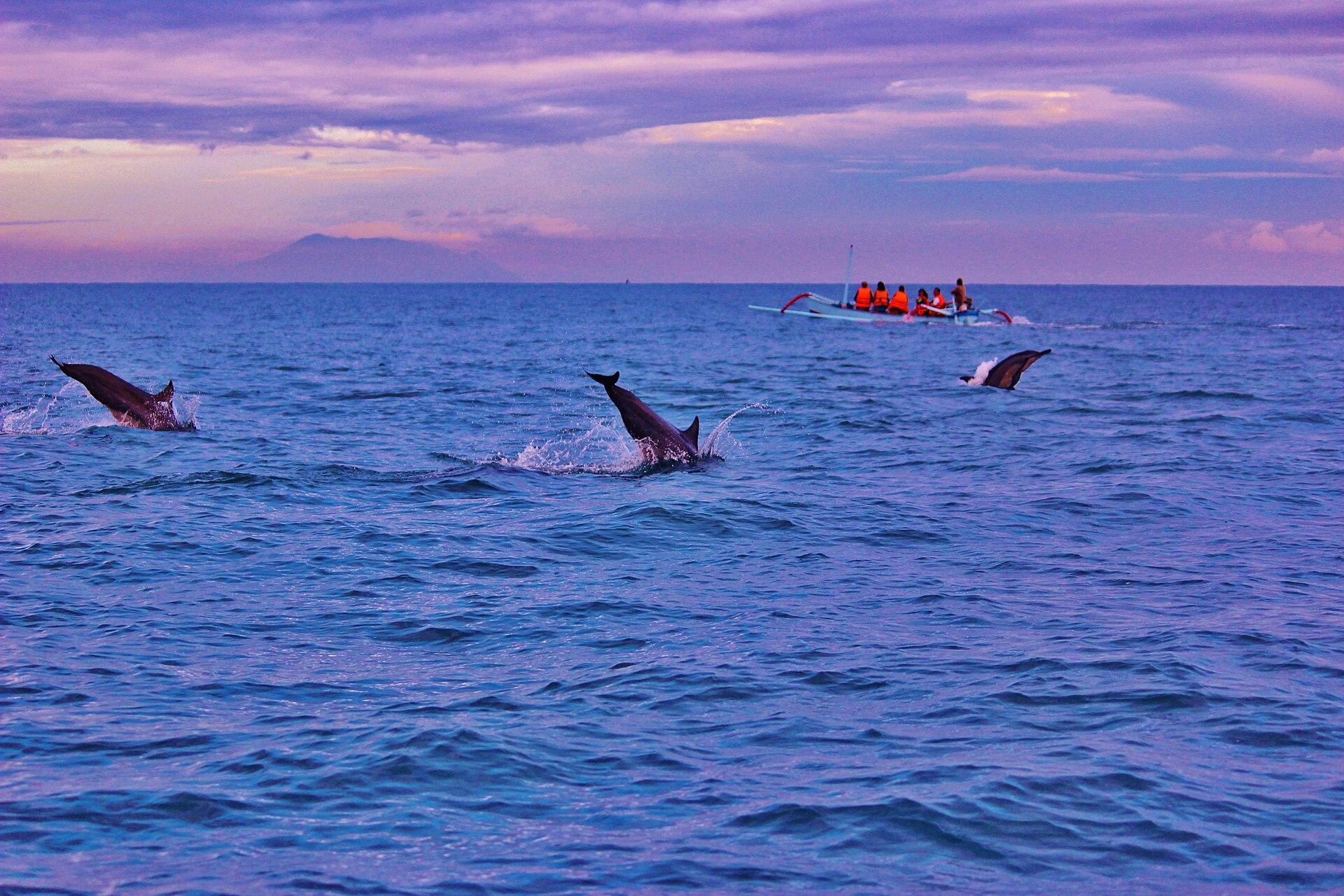 Lovina, Indonesia