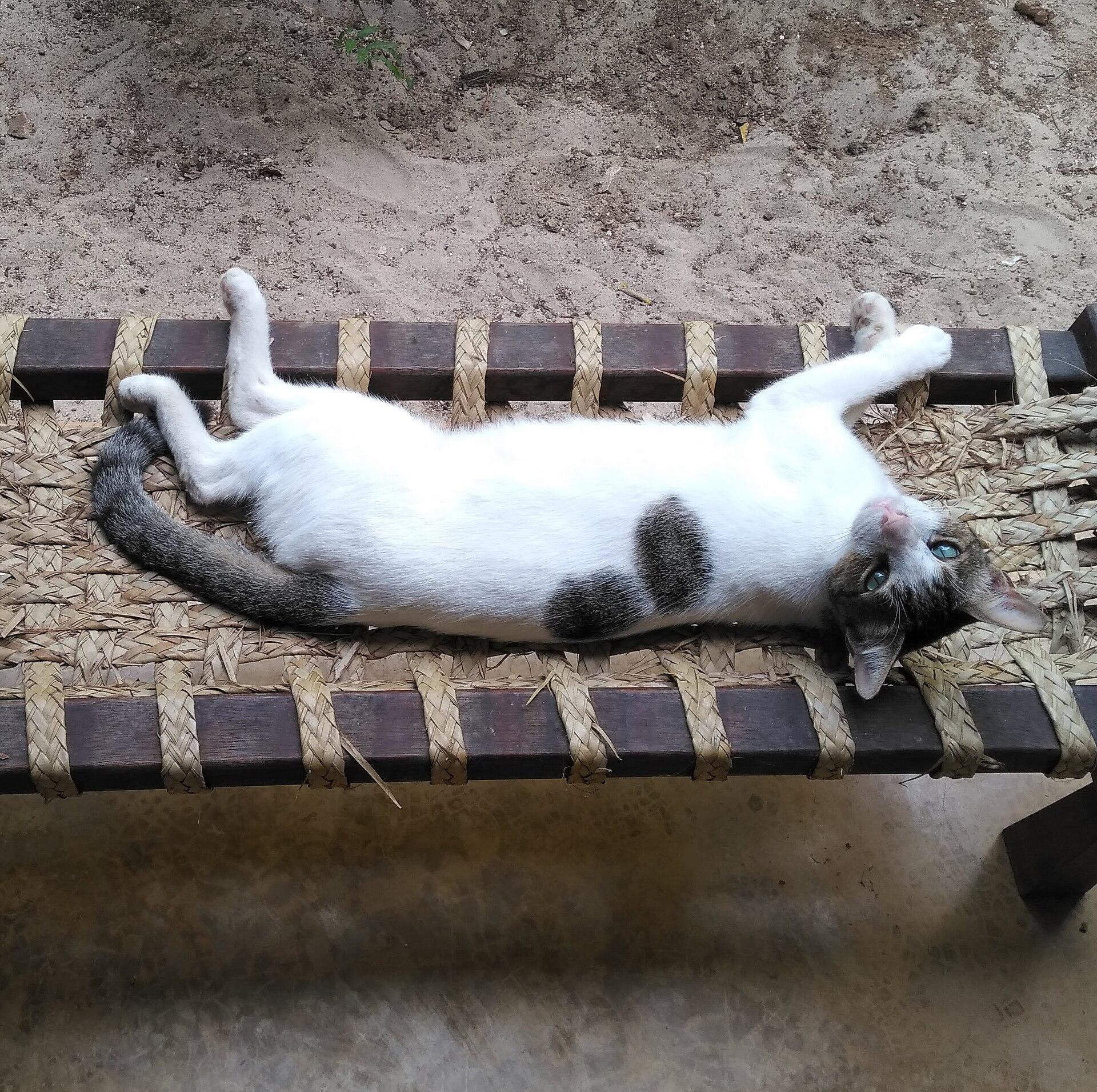Lamu, Kenya