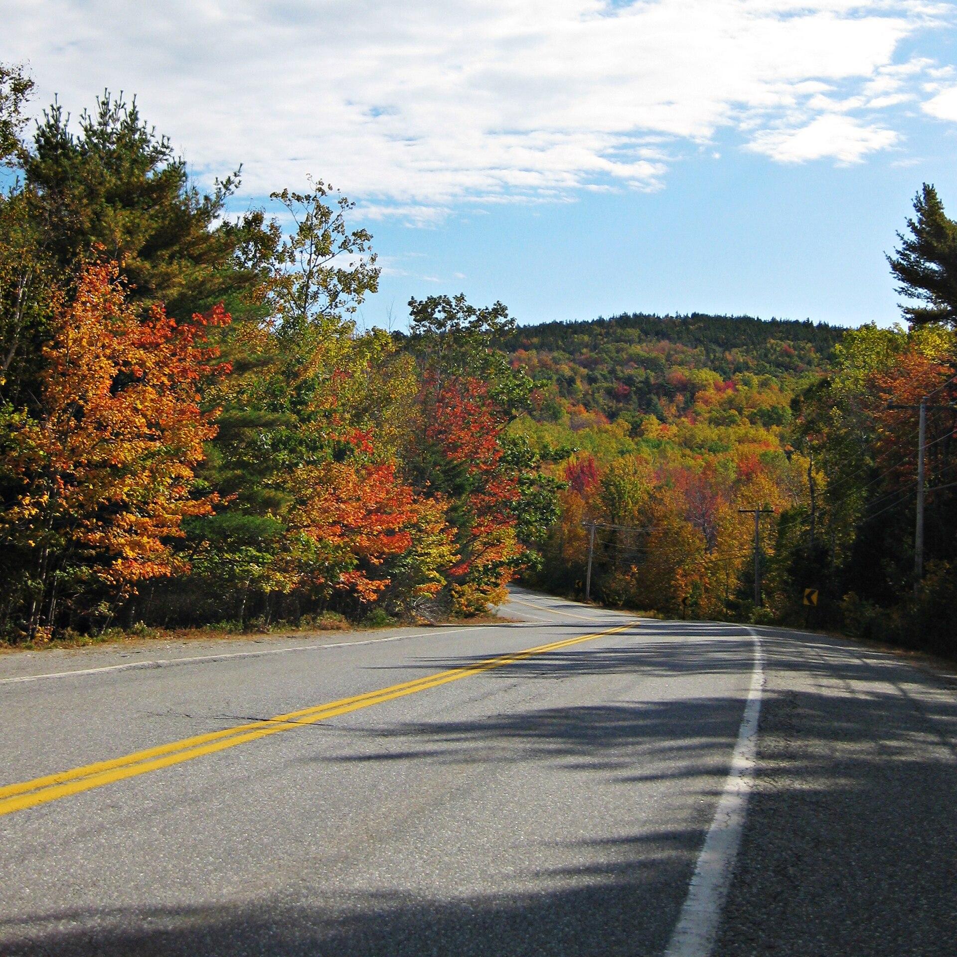 Acadia National Park 