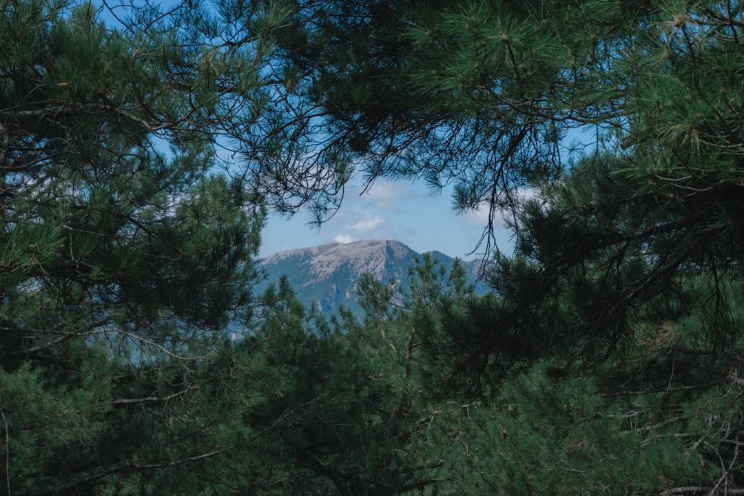 Albacete, Espagne