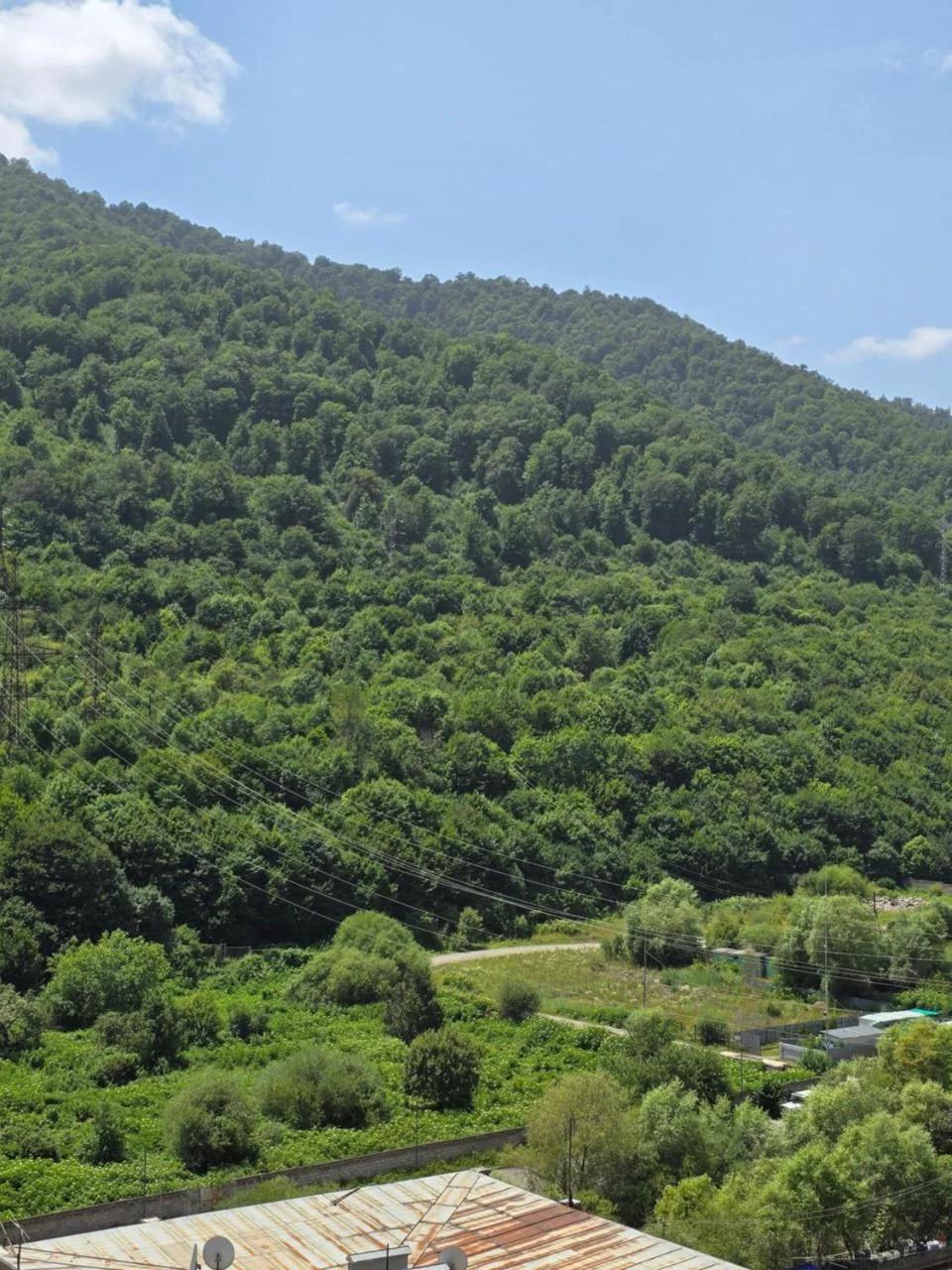 Evergreen Stay Dilijan photo