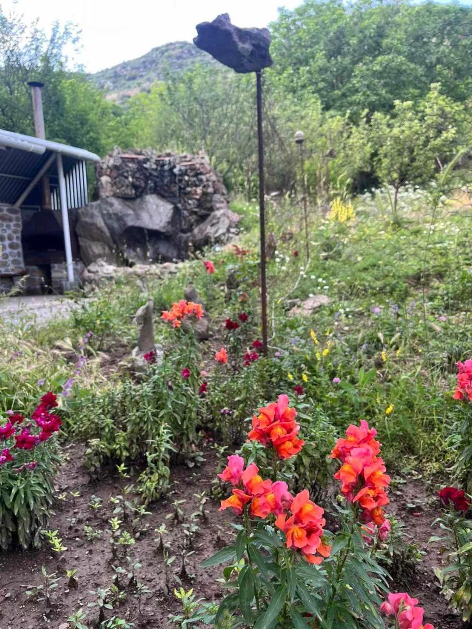 Hotel Halidzor photo