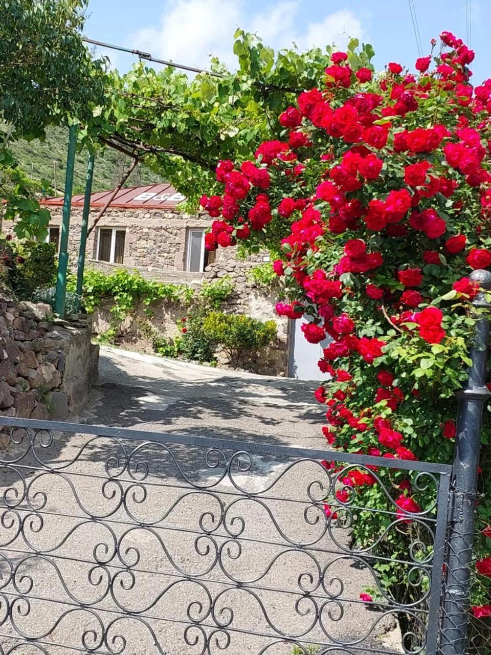 Igor Bed and Breakfast photo