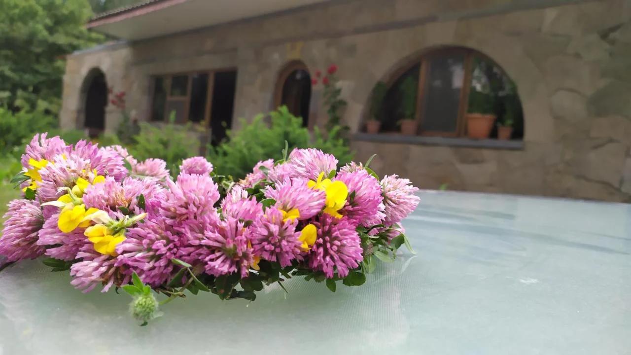 Saro B&B in Tatev
