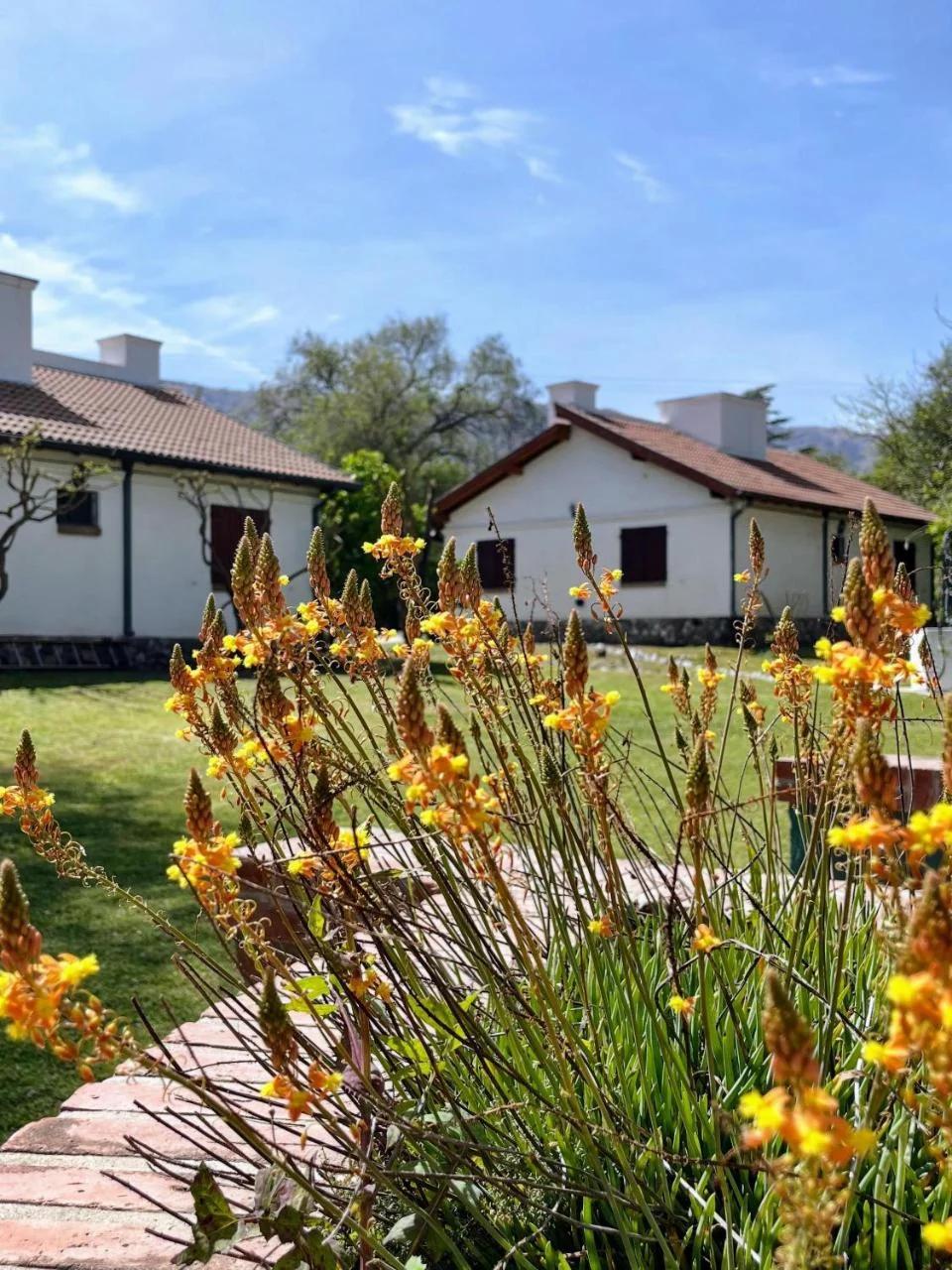Cabañas Aldea Blanca photo