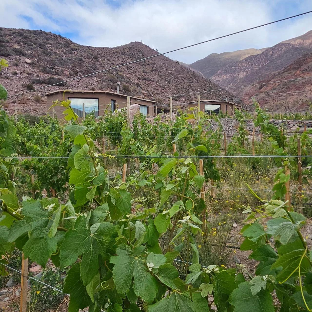 Cabañas Bodega Kindgard foto