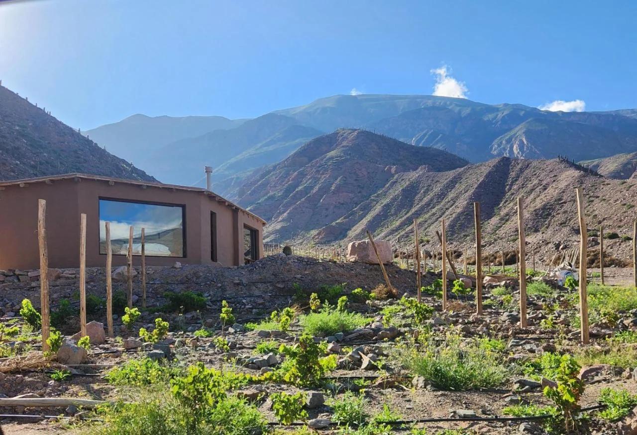 Cabañas Bodega Kindgard foto