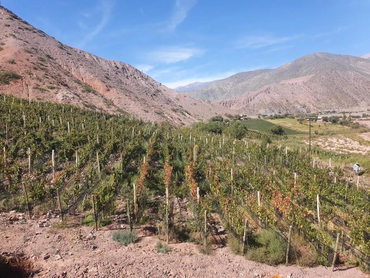 Cabañas Bodega Kindgard foto