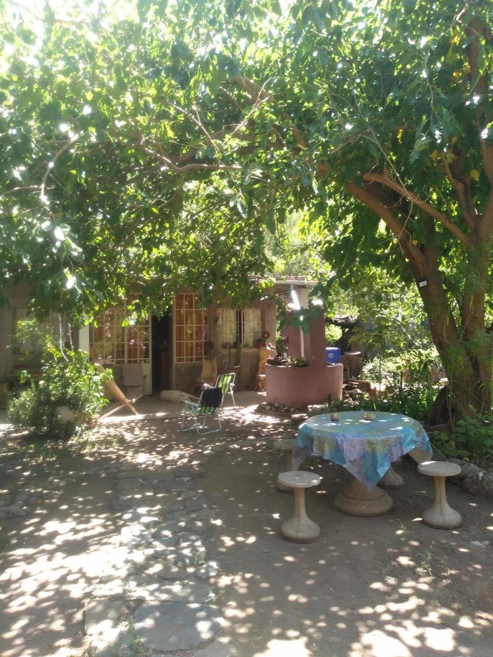 Casa Alma Verde calma photo