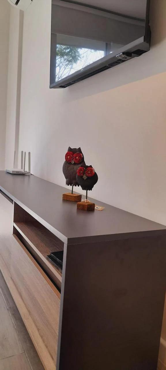 Roca Apartment photo