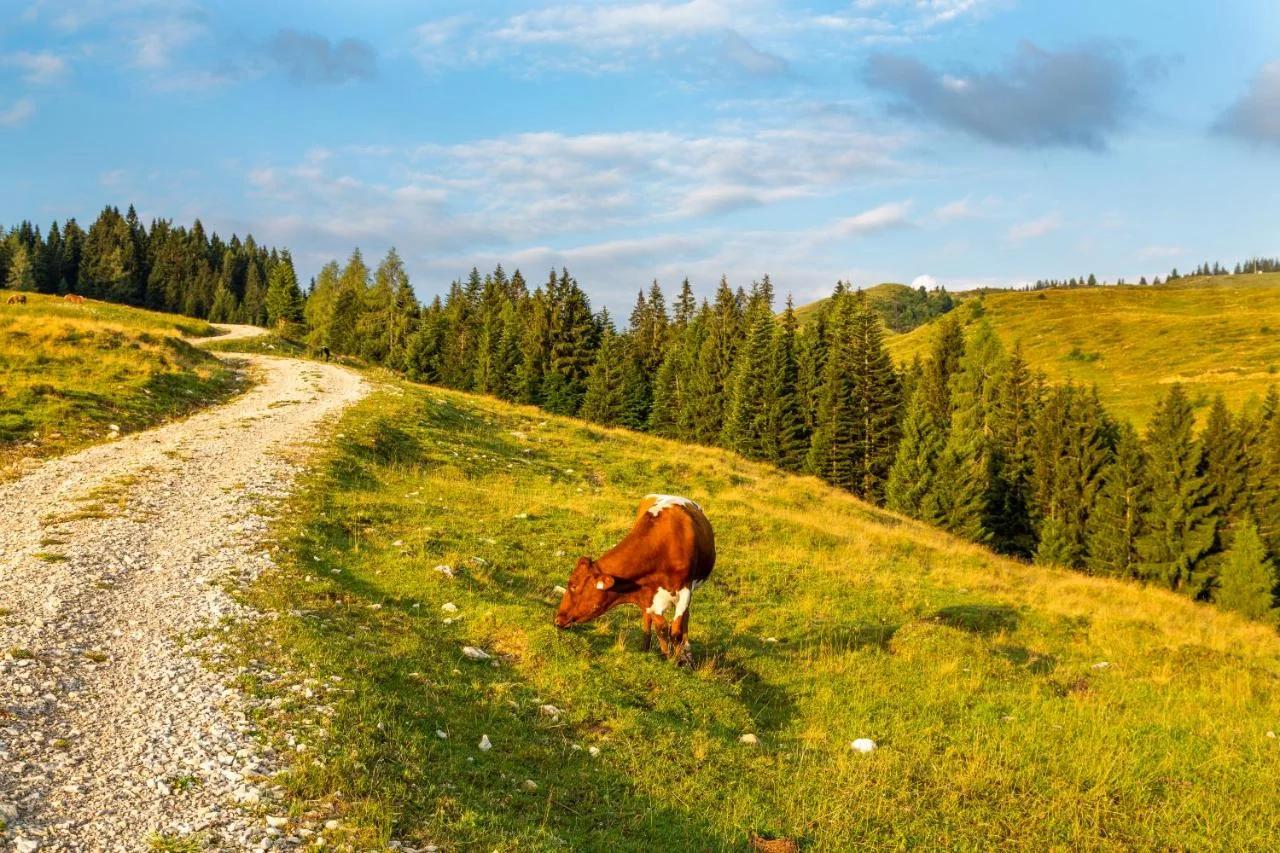 Almhaus Alpenrose Postalm foto