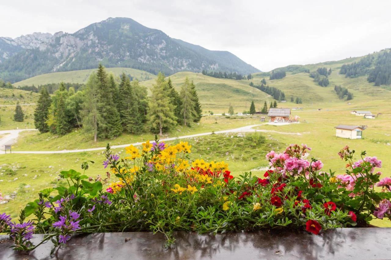 Almhaus Alpenrose Postalm foto