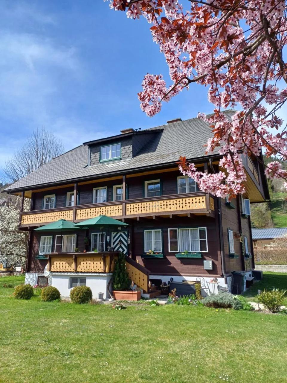 Appartement Steiner