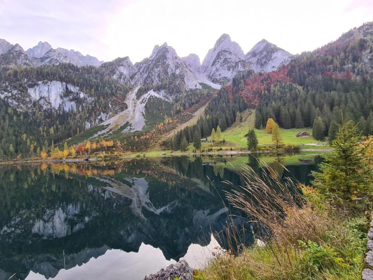 Dangos Mountainview Gosau photo