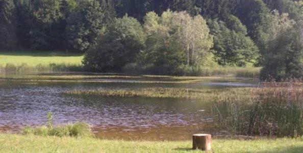 Gasthof Ferm photo