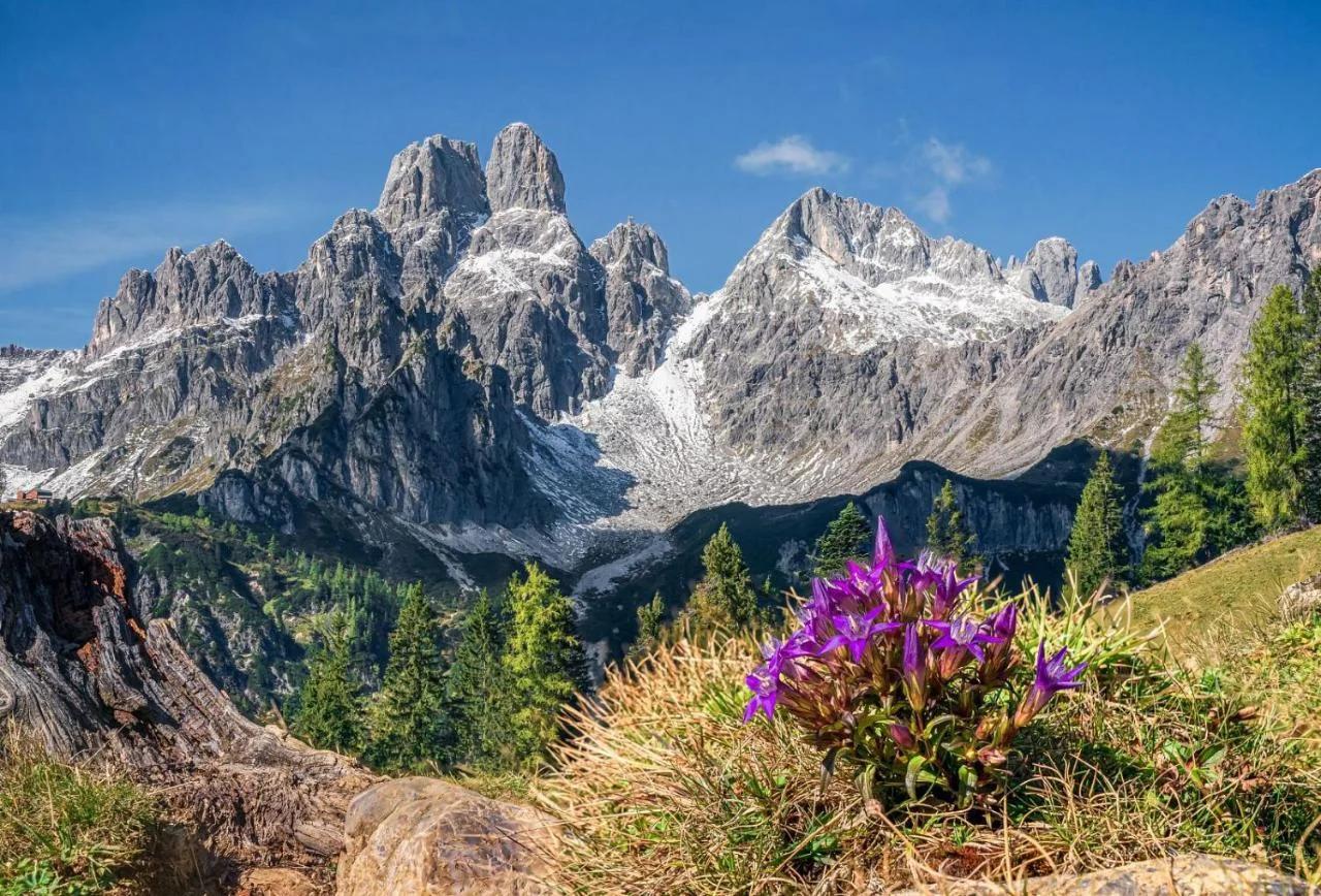 Hotel Alpenblick foto