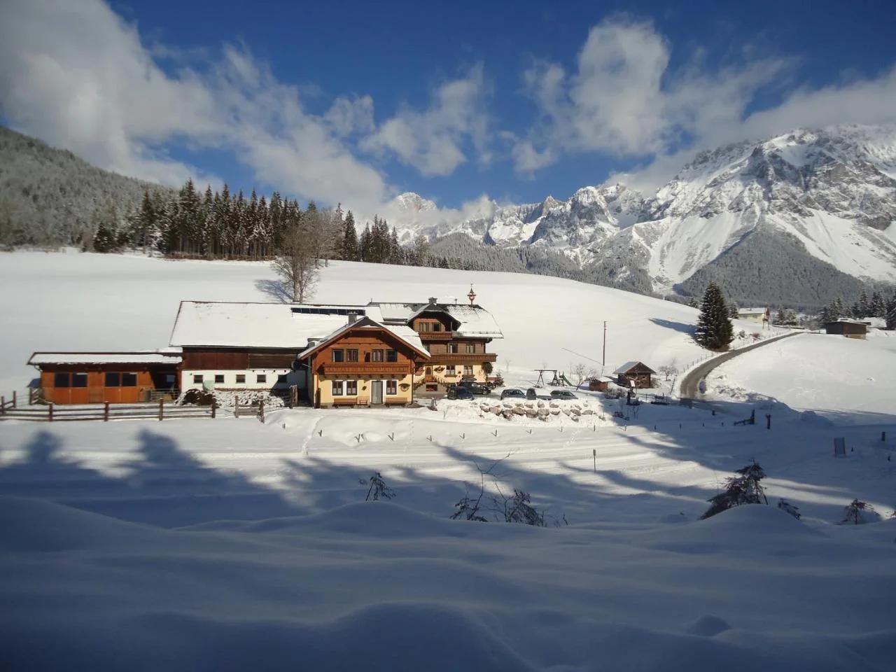 Pension-Greimelbacherhof foto